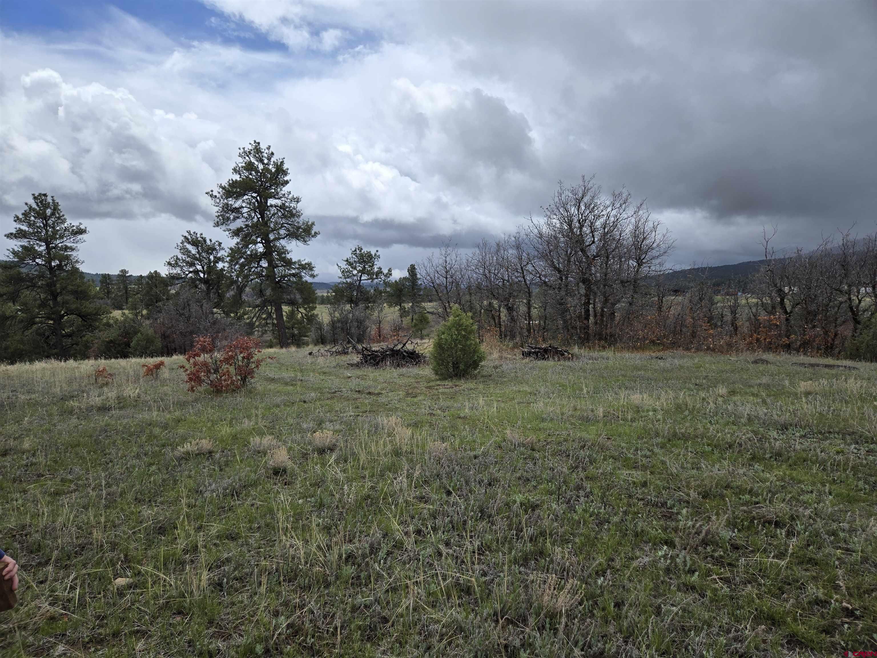 4410 County 359 Road, Pagosa Springs, CO 81147 Listing Photo  8