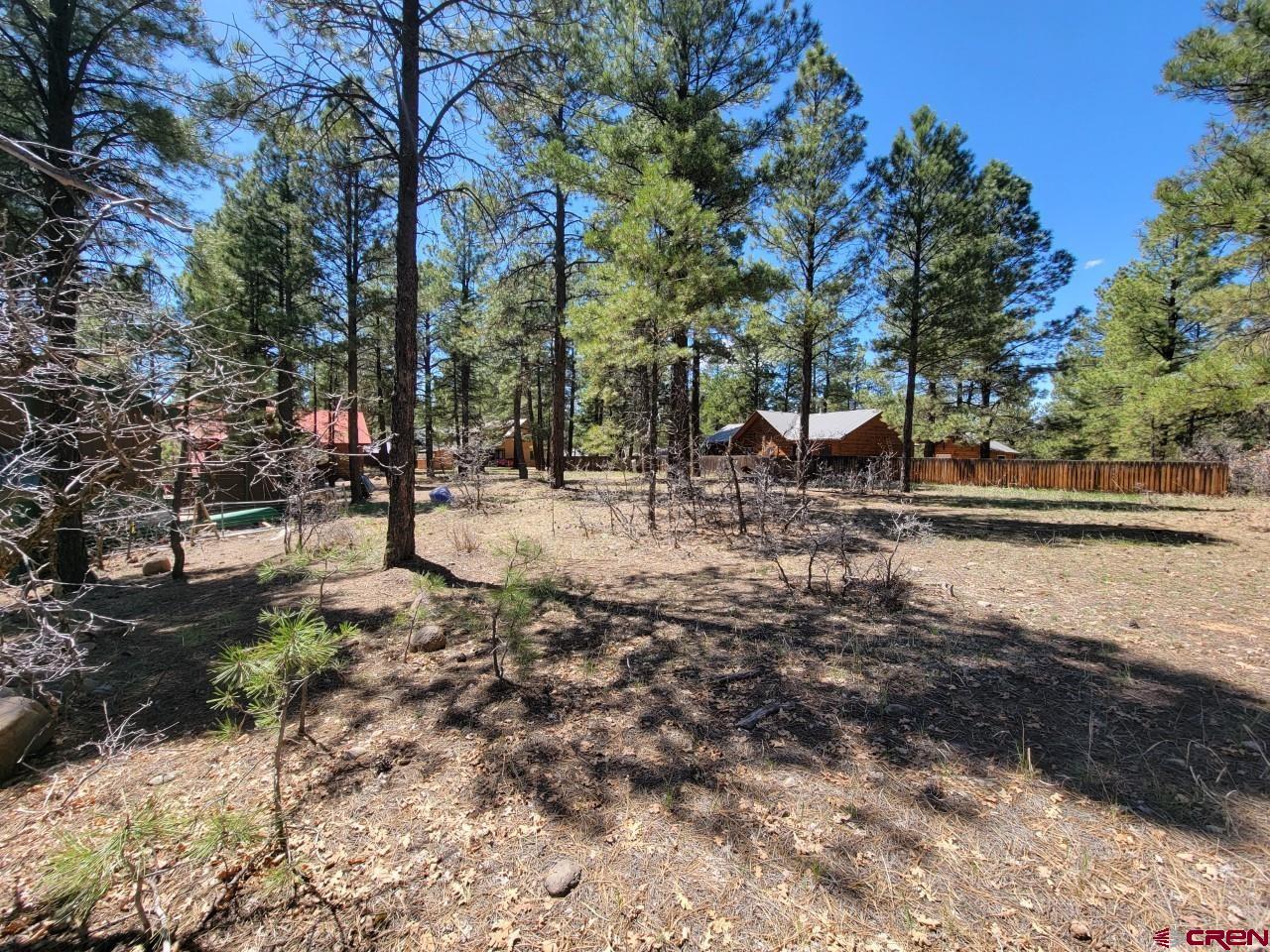 126 Gala Place, Pagosa Springs, CO 81147 Listing Photo  12