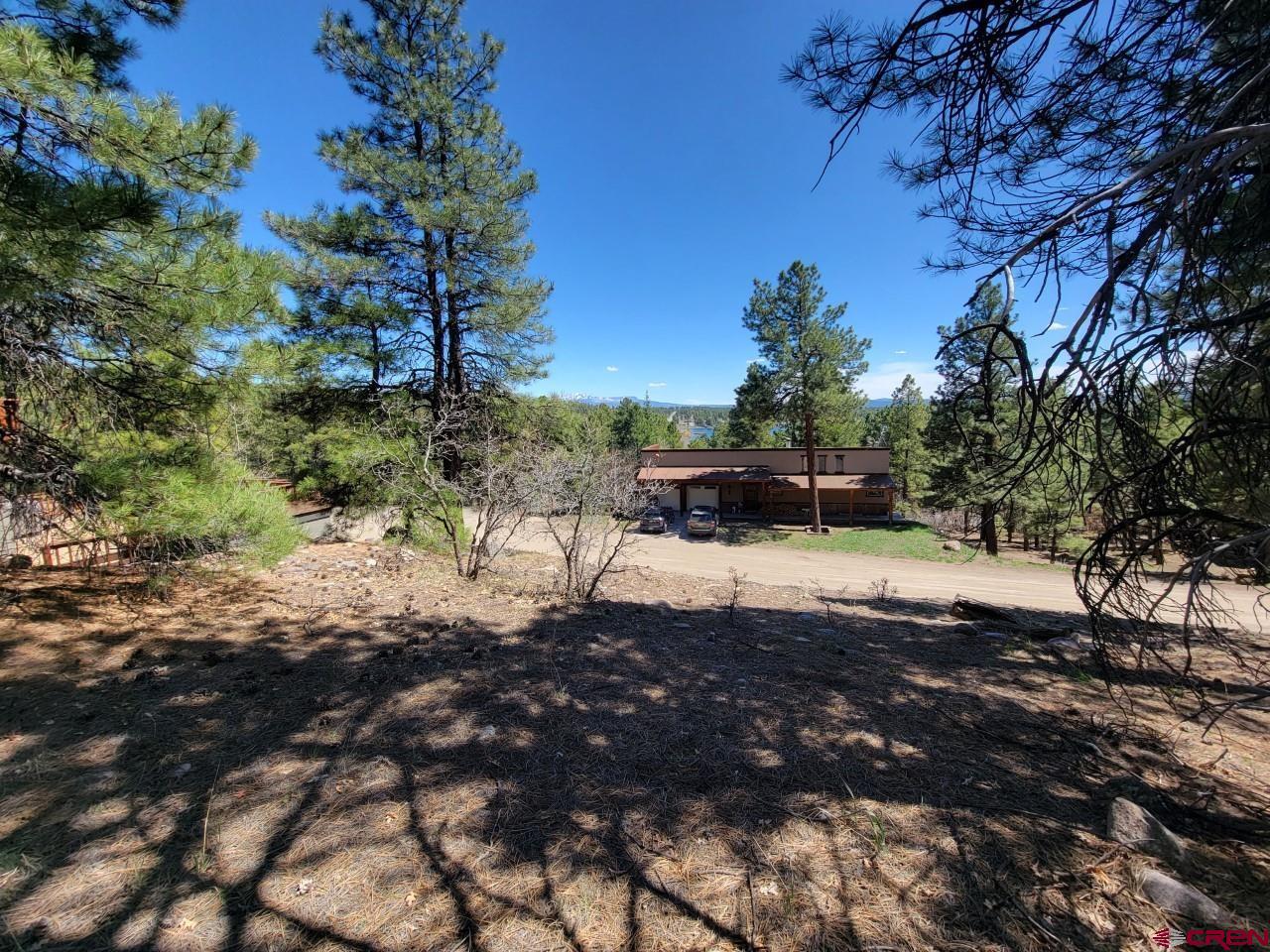 126 Gala Place, Pagosa Springs, CO 81147 Listing Photo  13