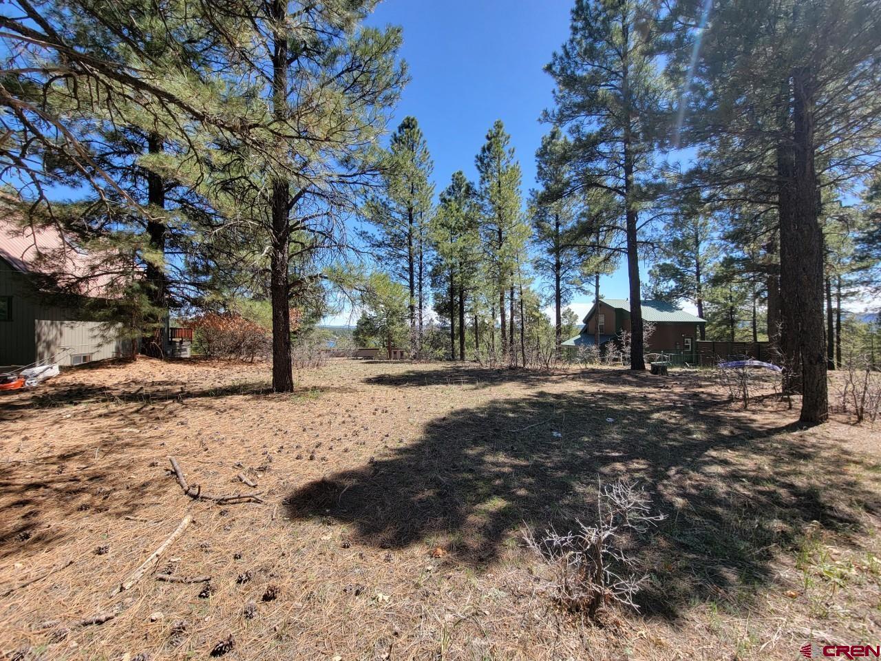 126 Gala Place, Pagosa Springs, CO 81147 Listing Photo  4