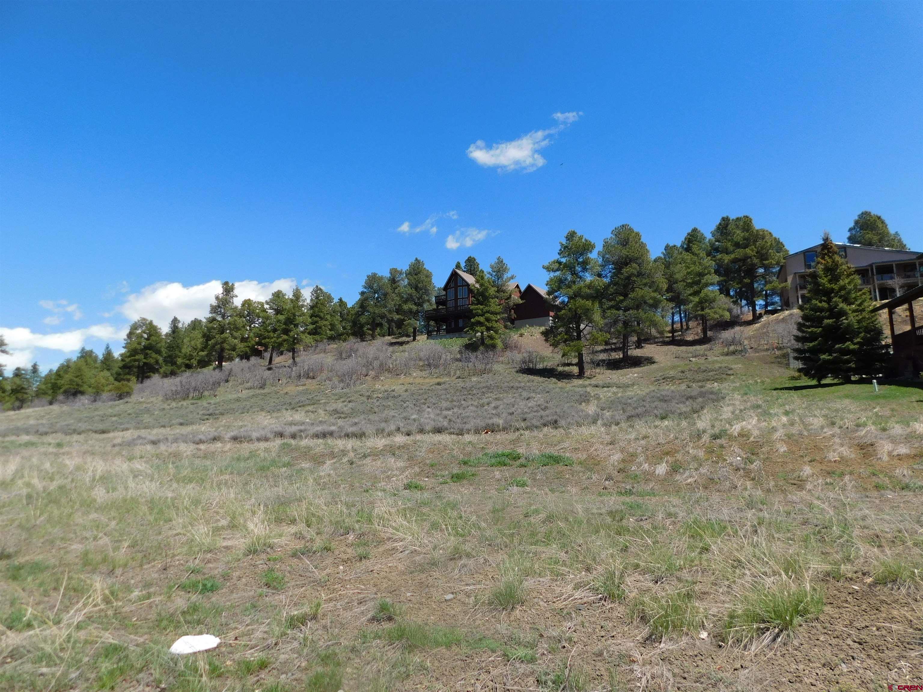 24 Carlee Place Place, Pagosa Springs, CO 81147 Listing Photo  3