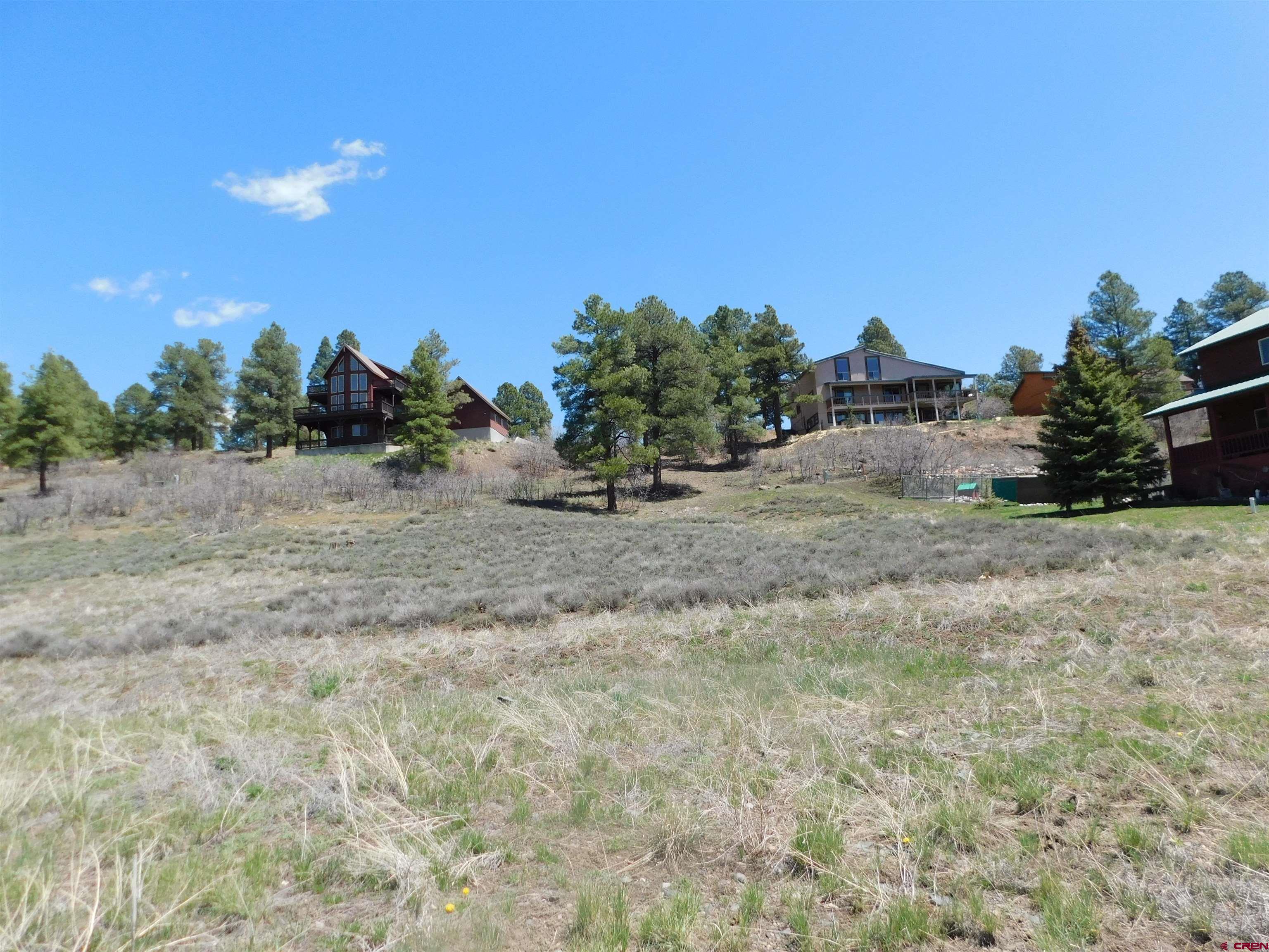 24 Carlee Place Place, Pagosa Springs, CO 81147 Listing Photo  4