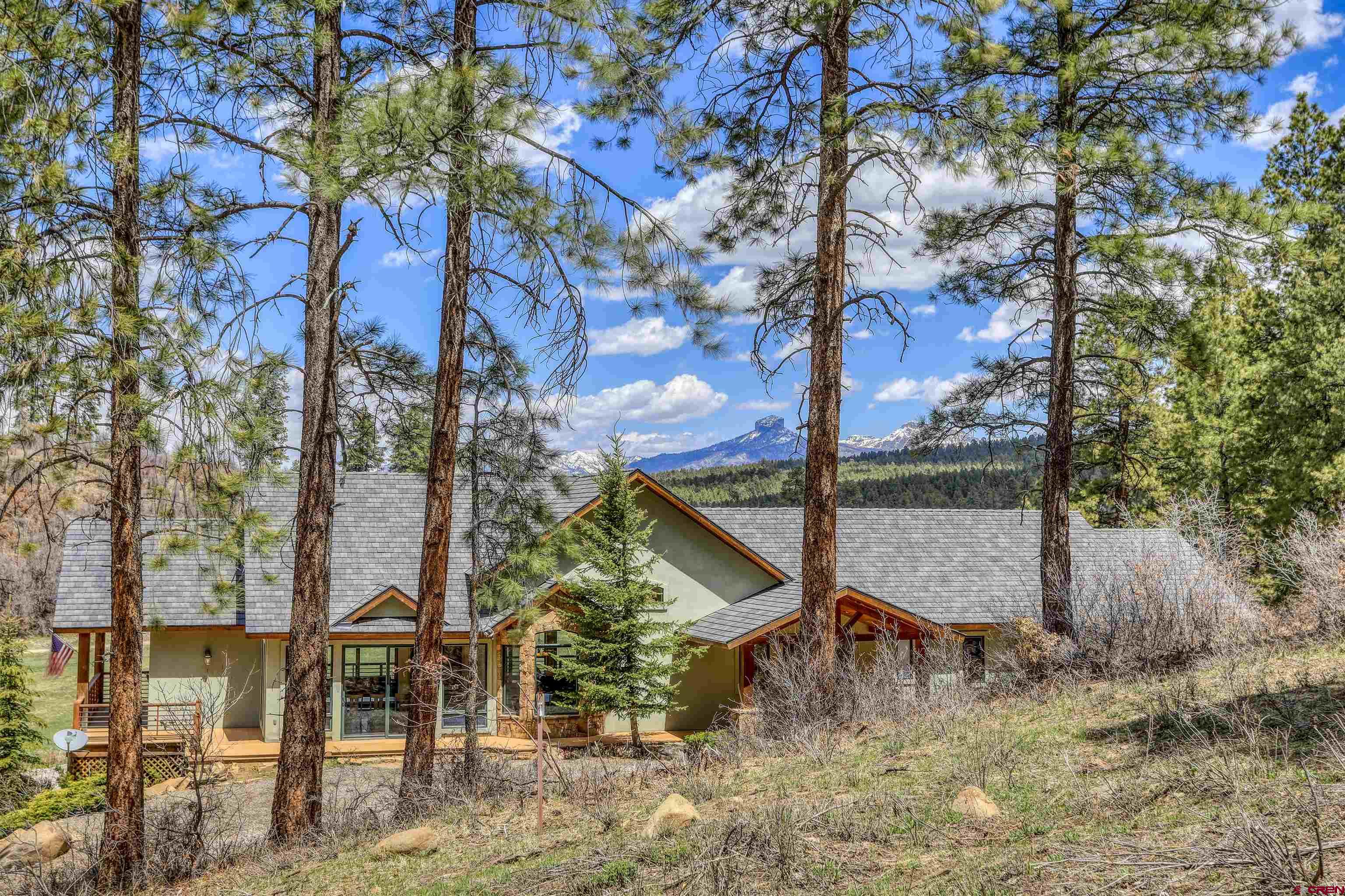1149 Cattle Trail Place, Pagosa Springs, CO 81147 Listing Photo  2