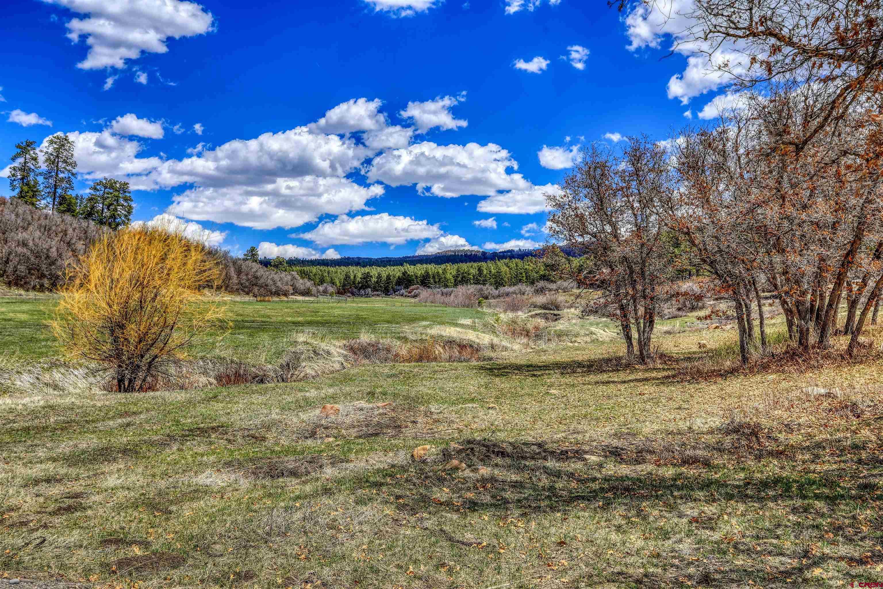 1149 Cattle Trail Place, Pagosa Springs, CO 81147 Listing Photo  3