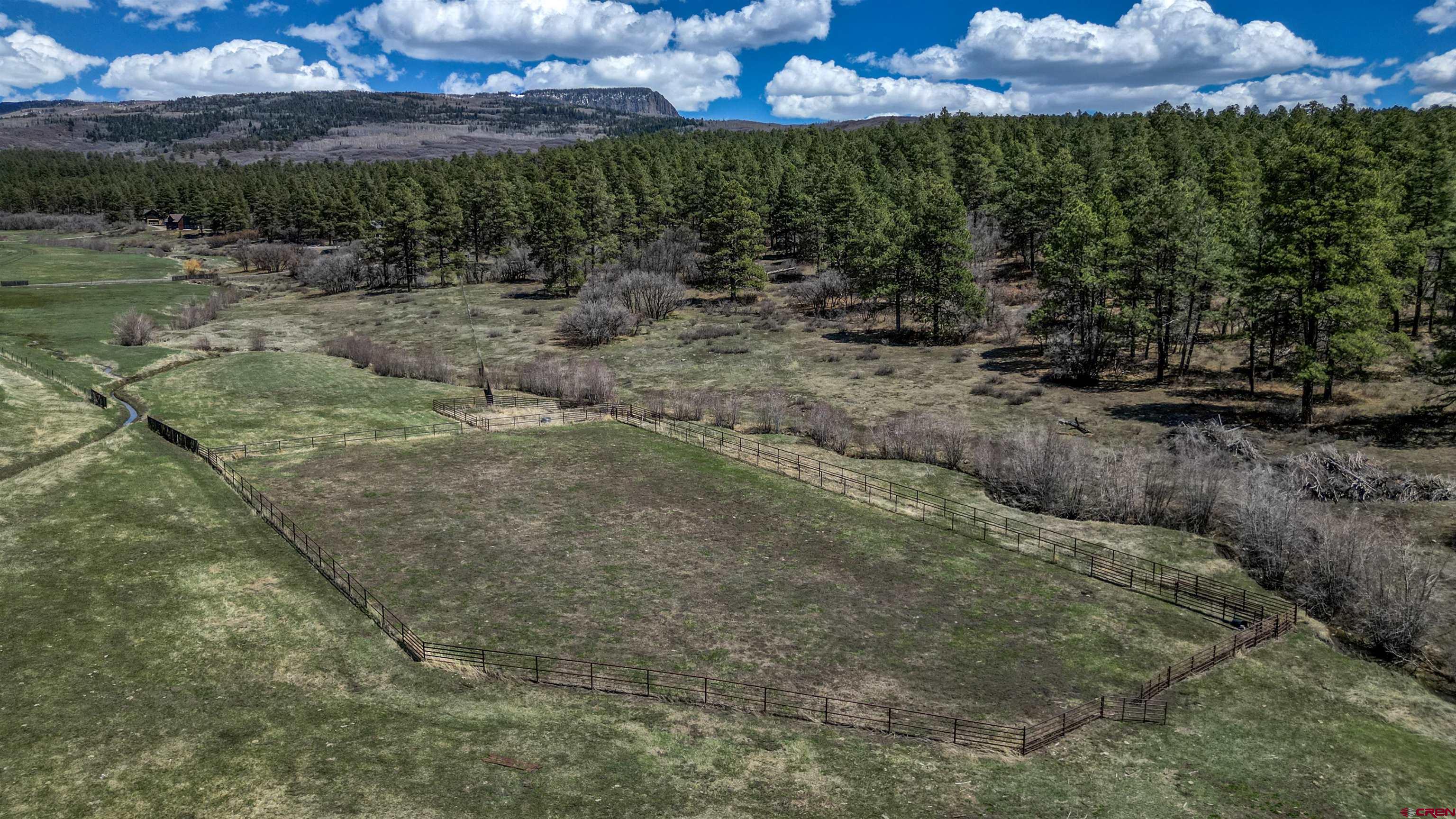 1149 Cattle Trail Place, Pagosa Springs, CO 81147 Listing Photo  29