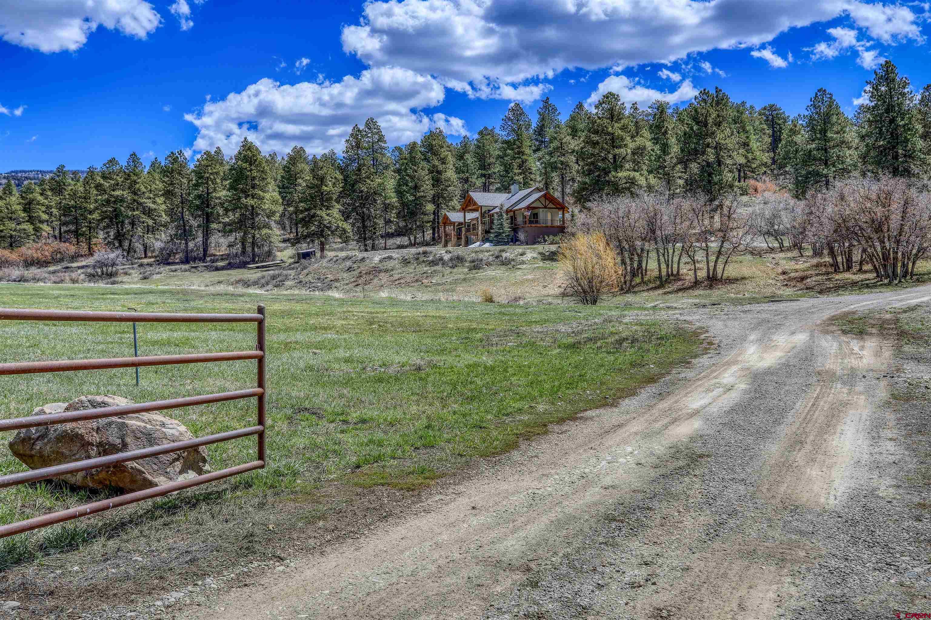 1149 Cattle Trail Place, Pagosa Springs, CO 81147 Listing Photo  4