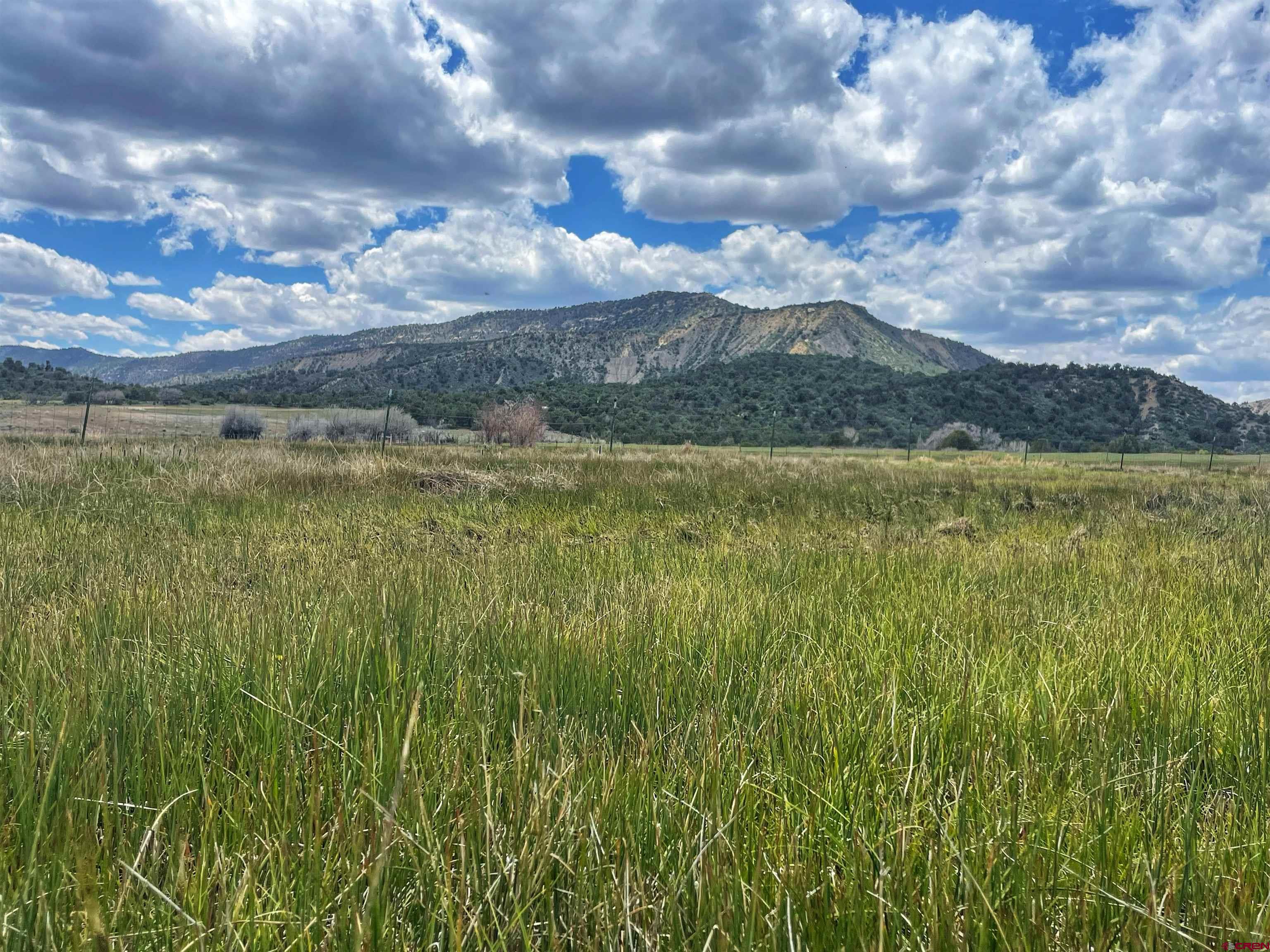 Photo of 40756 Road G Rd in Mancos, CO