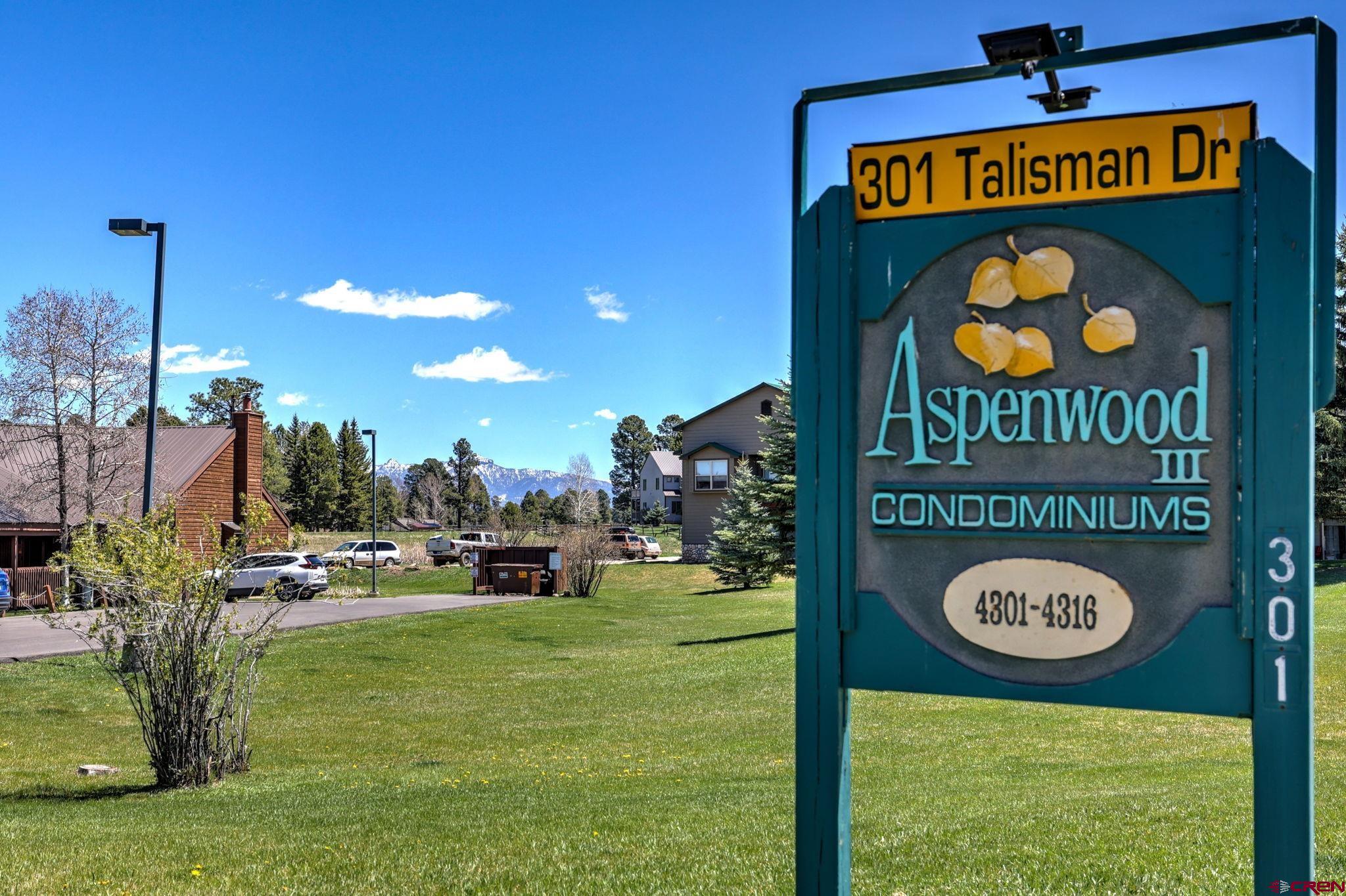 301 Talisman Drive, ##4313, Pagosa Springs, CO 81147 Listing Photo  7