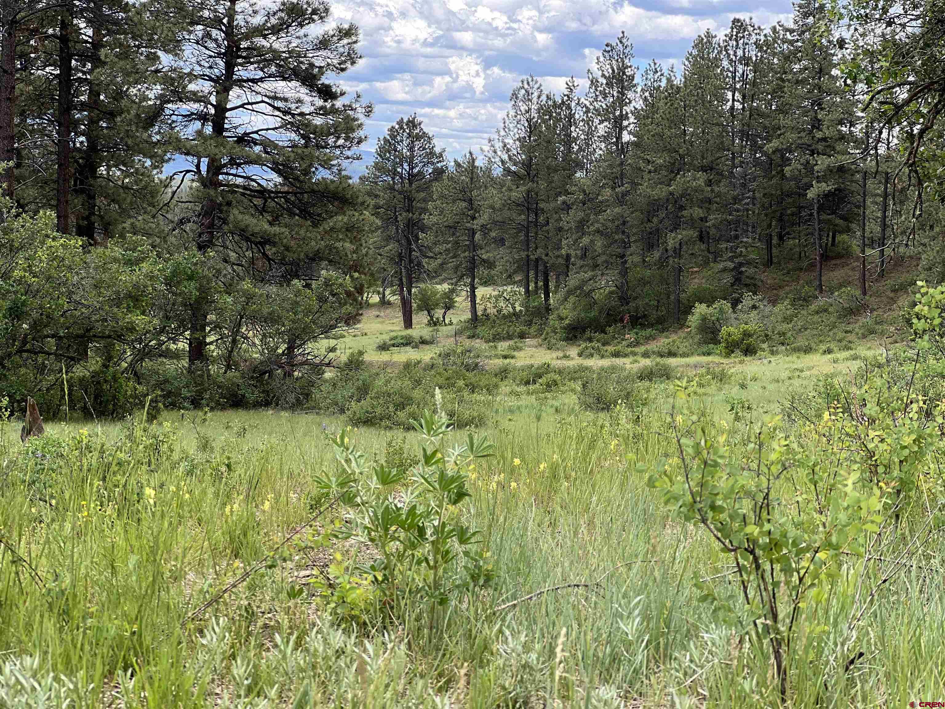 Esmt X (Lot32) Piney Place, Pagosa Springs, CO 81147 Listing Photo  9