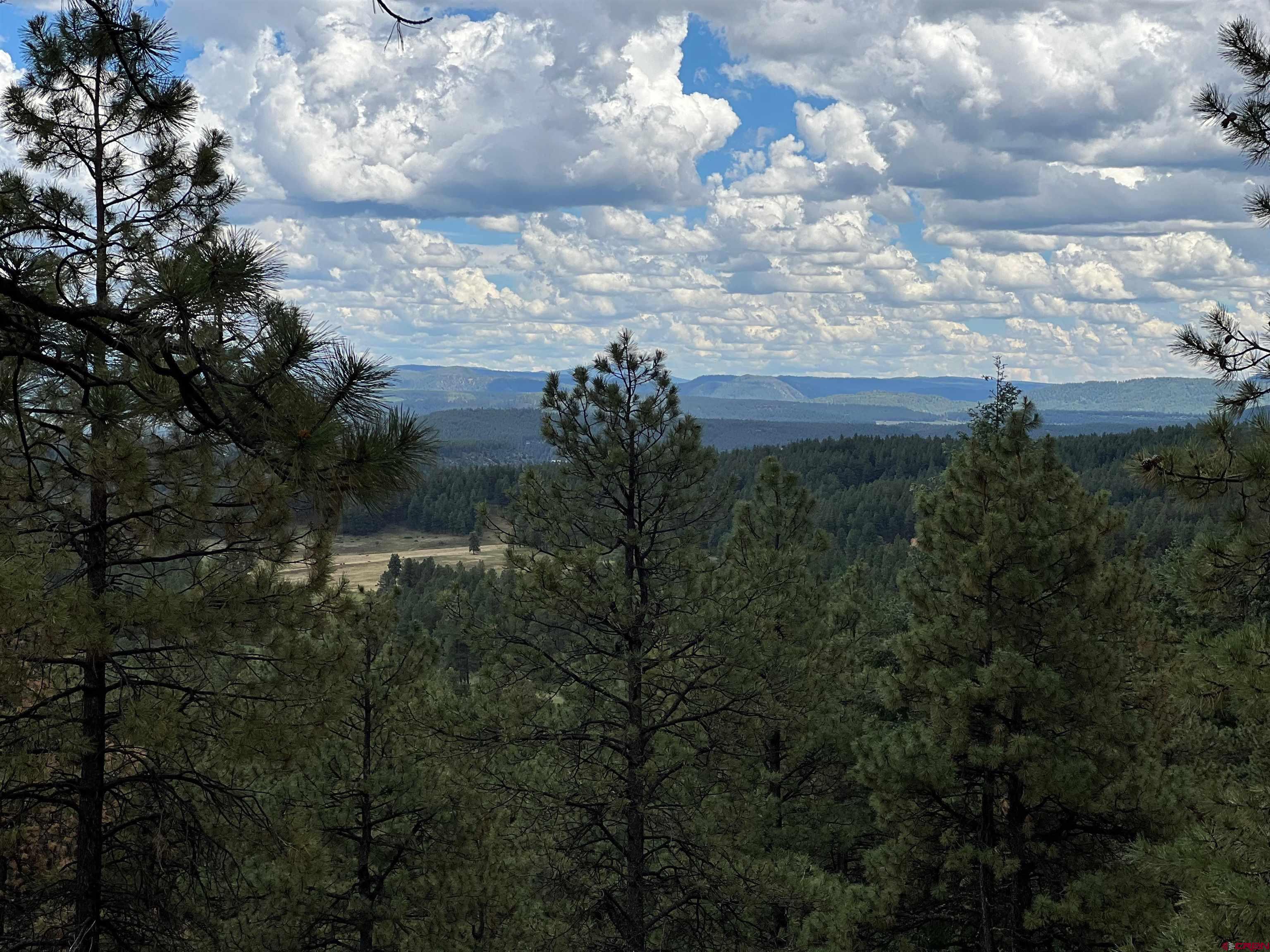 Esmt X (Lot32) Piney Place, Pagosa Springs, CO 81147 Listing Photo  10