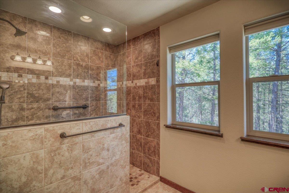 621 Cool Pines Drive, Pagosa Springs, CO 81147 Listing Photo  20