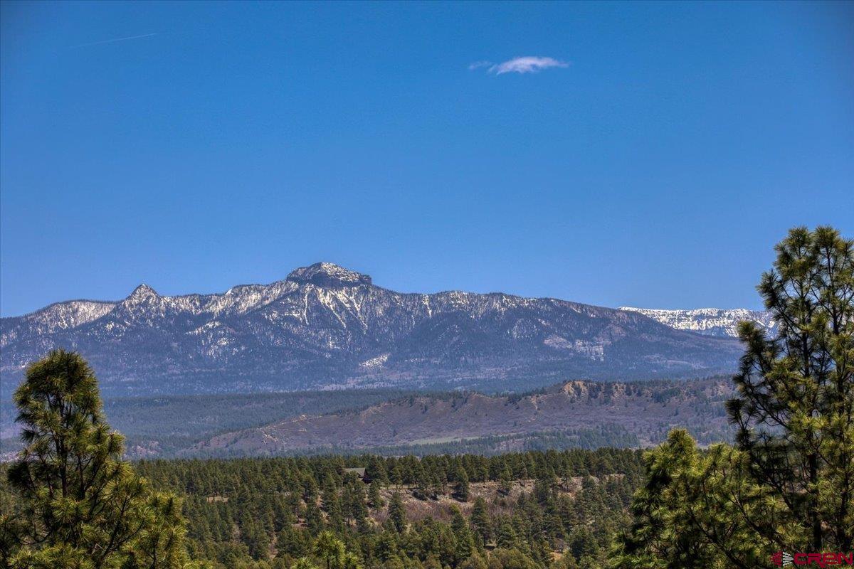 621 Cool Pines Drive, Pagosa Springs, CO 81147 Listing Photo  3