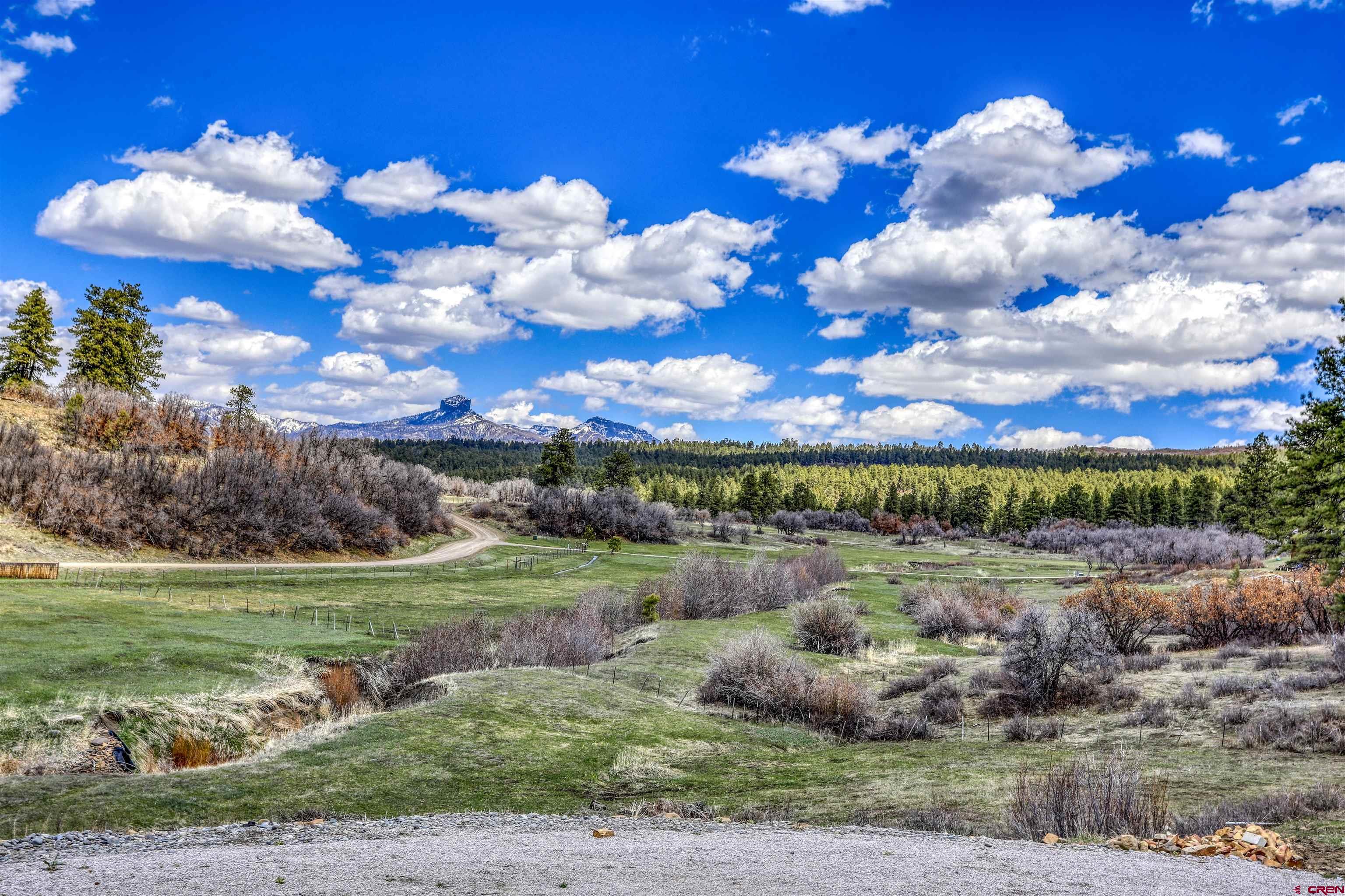 1149 Cattle Trail Place, Pagosa Springs, CO 81147 Listing Photo  7