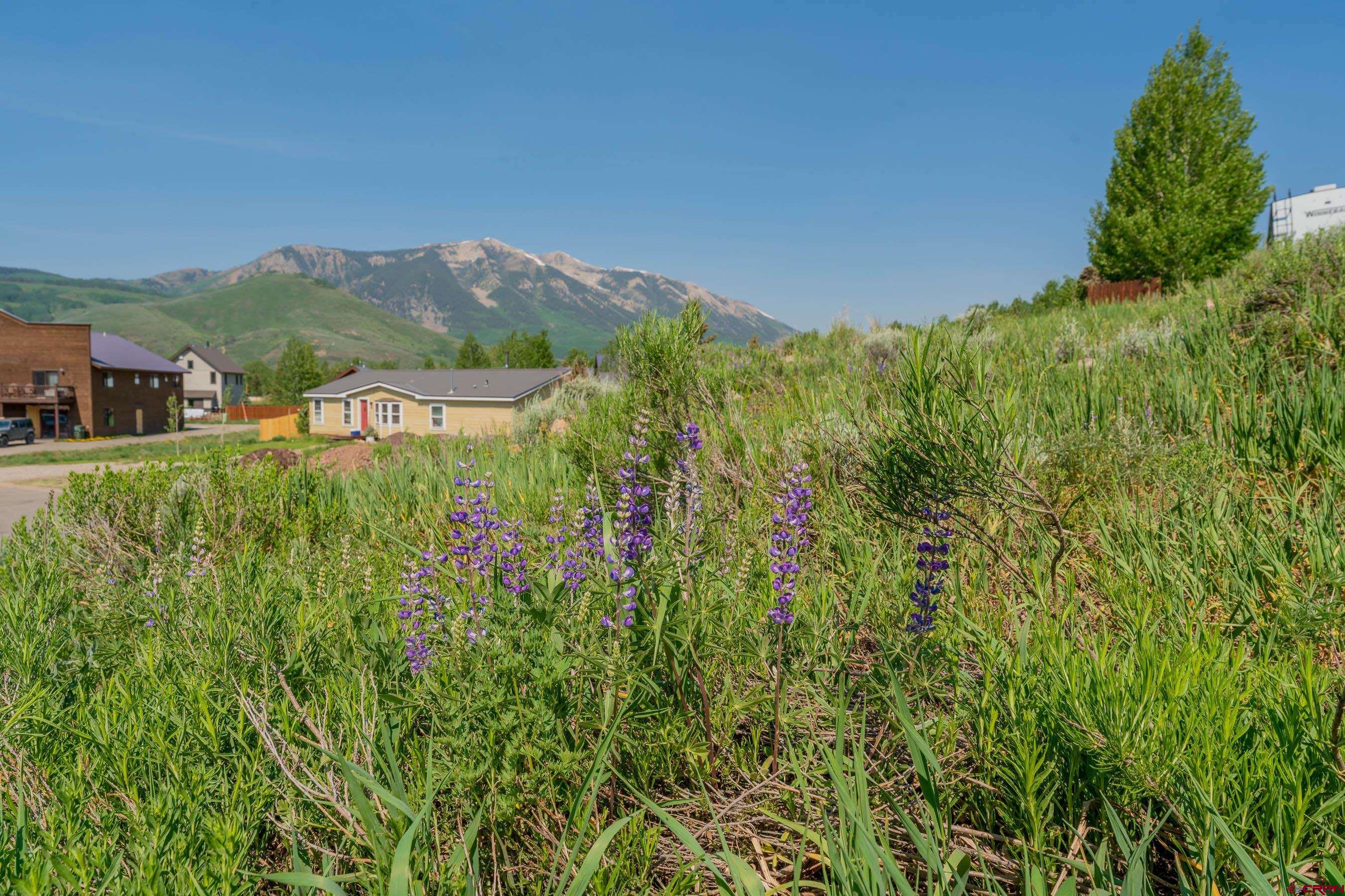 141 Haverly Street, Crested Butte, CO 81224 Listing Photo  2
