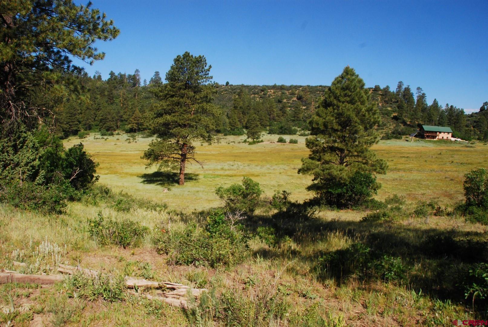 X US Hwy 84 #047, Pagosa Springs, CO 81147 Listing Photo  13
