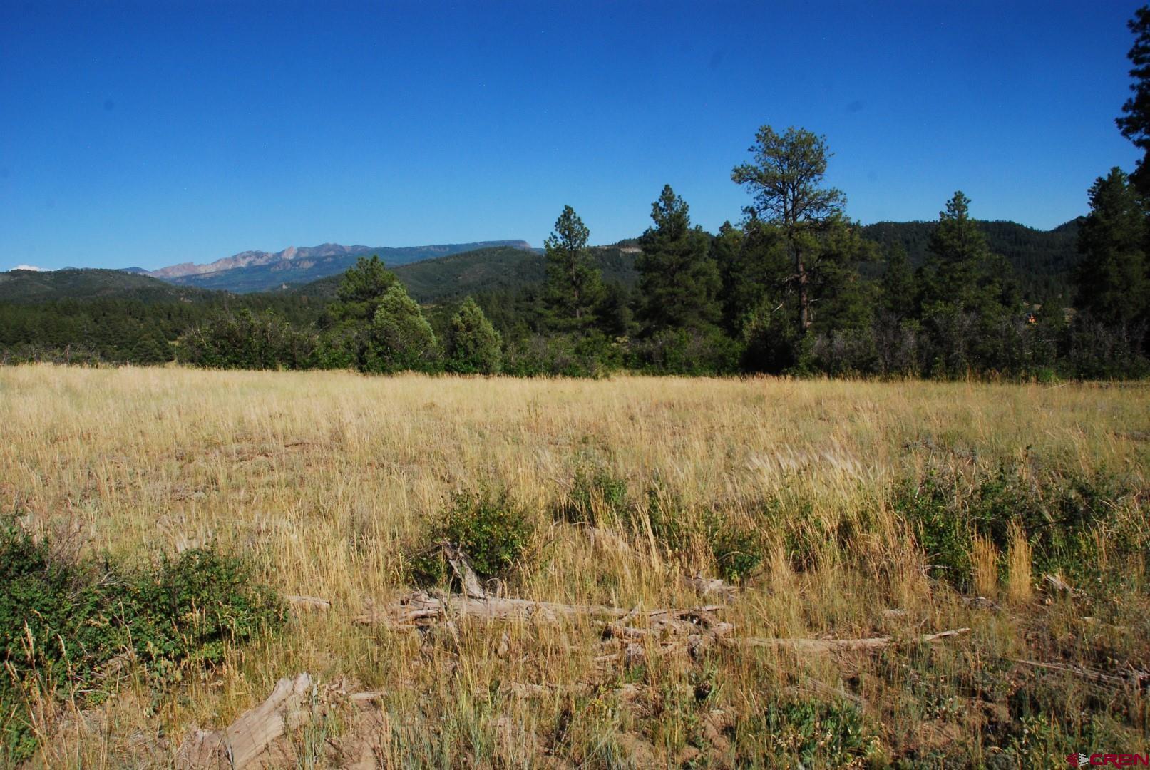 X US Hwy 84 #114, Pagosa Springs, CO 81147 Listing Photo  16