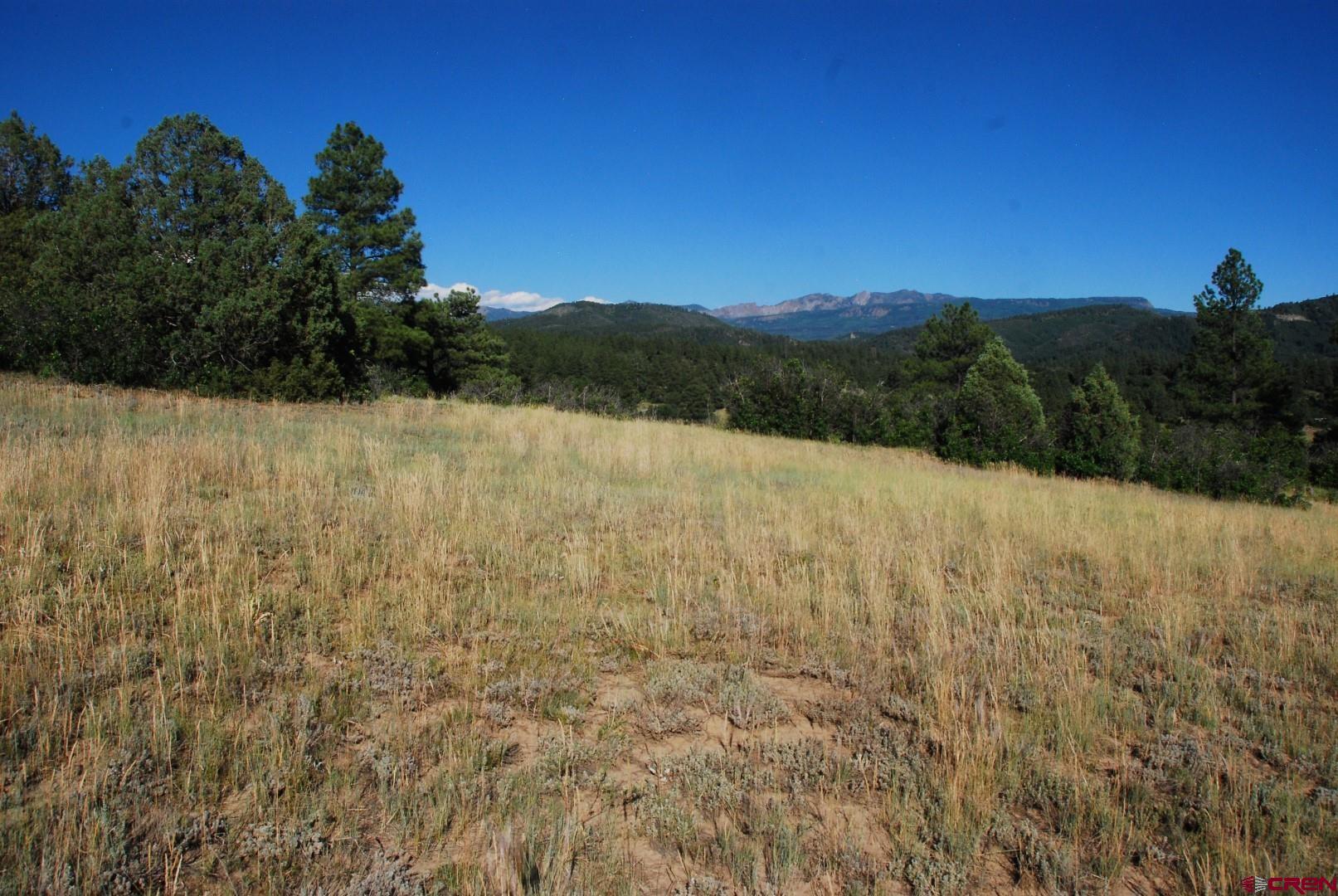 X US Hwy 84 #114, Pagosa Springs, CO 81147 Listing Photo  18