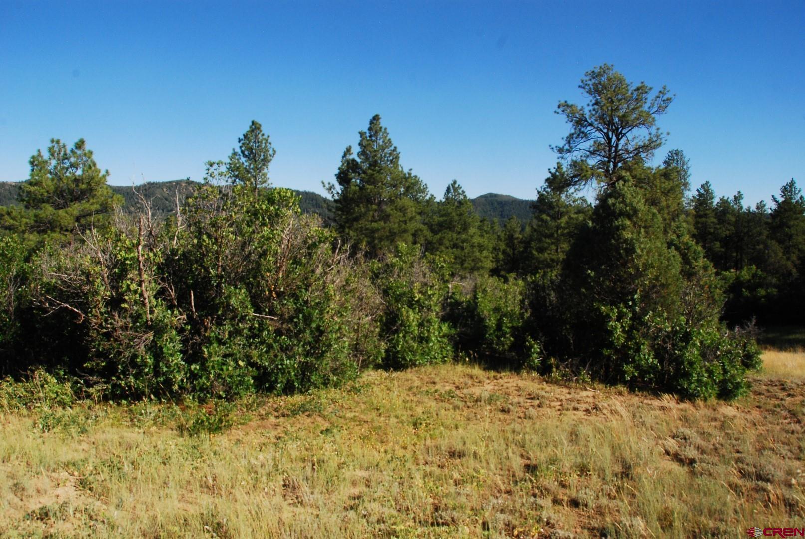 X US Hwy 84 #114, Pagosa Springs, CO 81147 Listing Photo  3