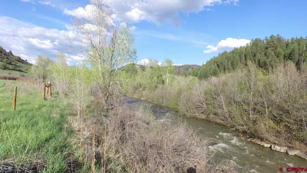 546 County Road 335, Pagosa Springs, CO 81147 Listing Photo  3