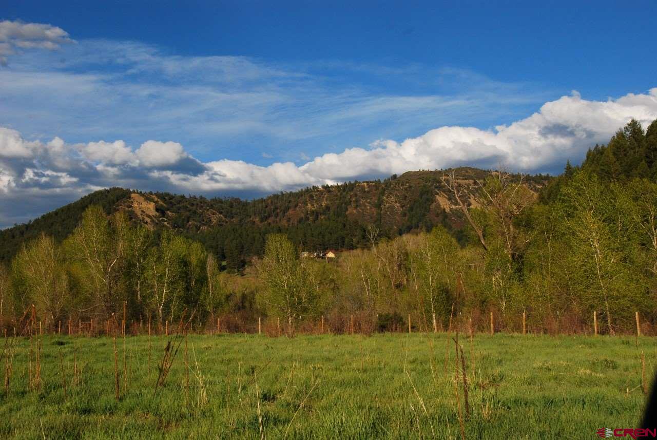 546 County Road 335, Pagosa Springs, CO 81147 Listing Photo  21
