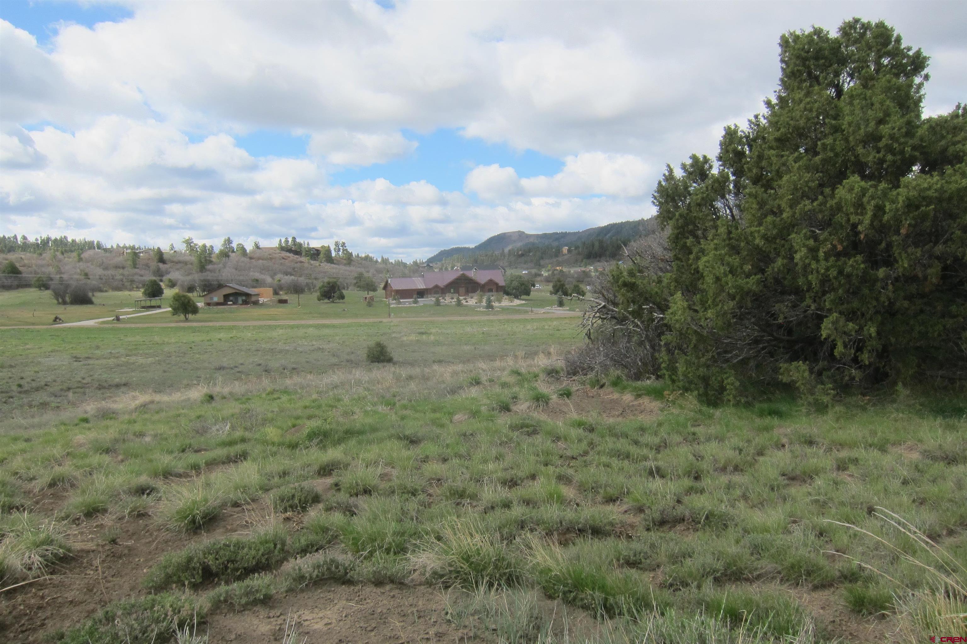 713 Paciente Place, Pagosa Springs, CO 81147 Listing Photo  7