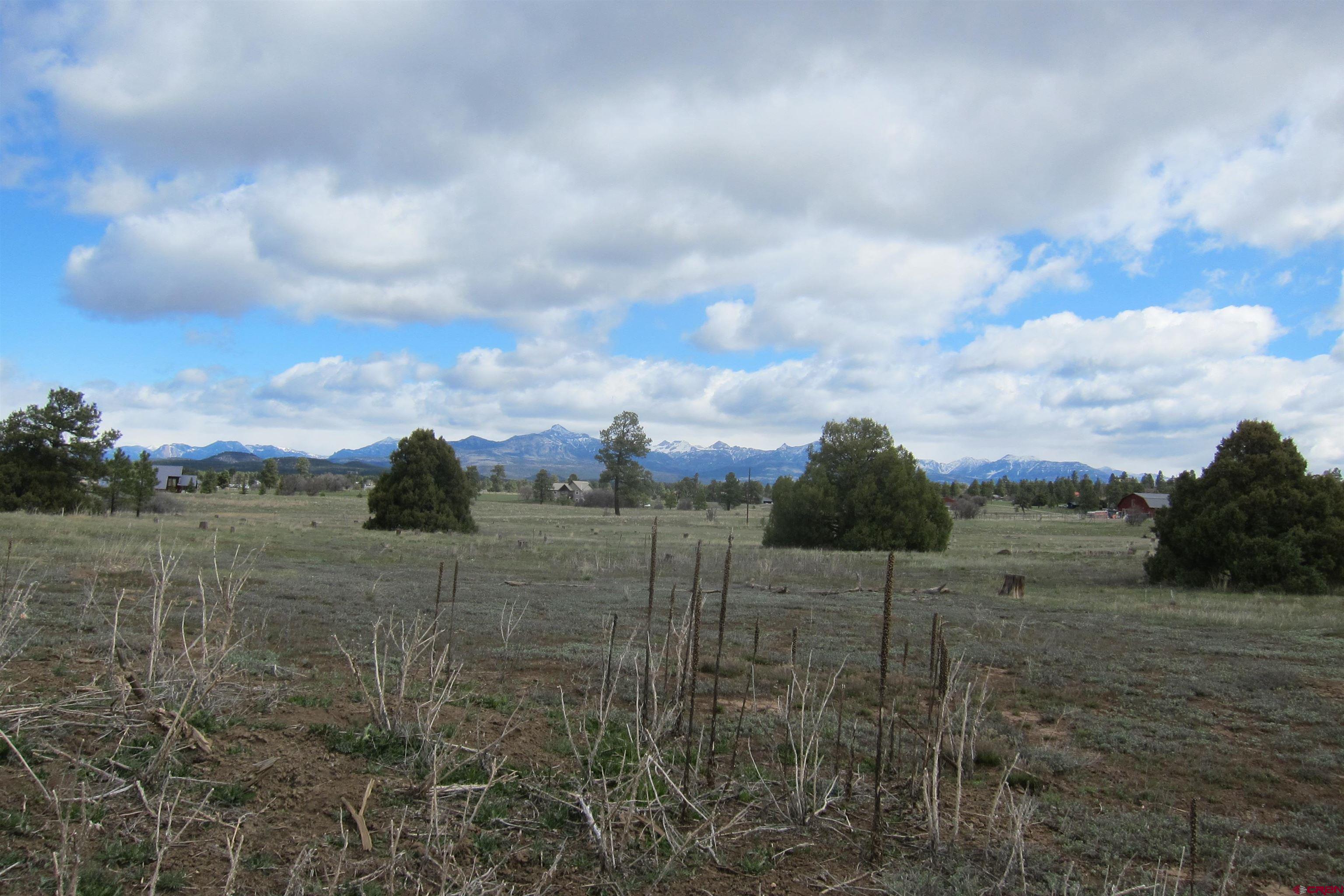 728 Meadows Drive, Pagosa Springs, CO 81147 Listing Photo  3