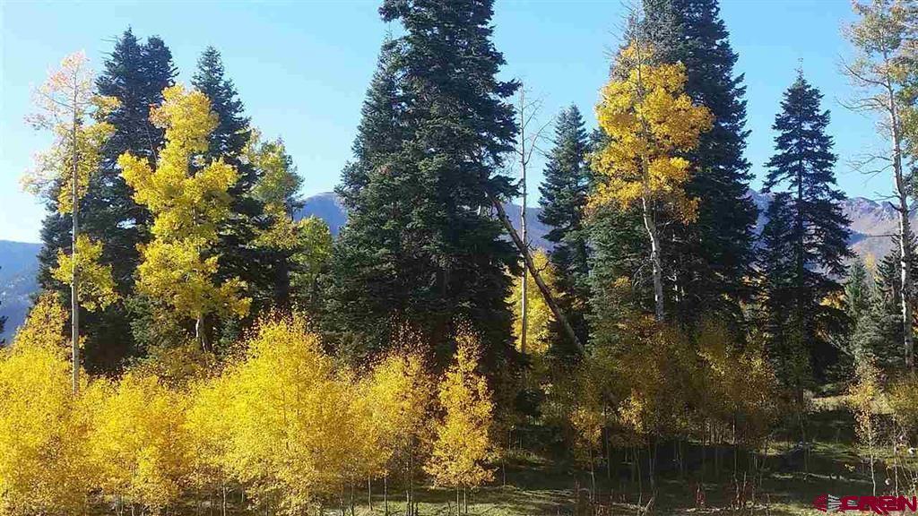 4558 Middle Mountain Road, Bayfield, CO 81122 Listing Photo  2