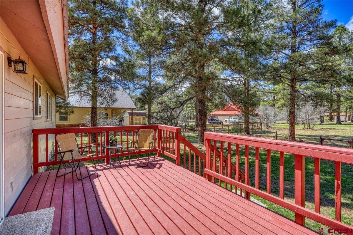 26 Ruby Court, Pagosa Springs, CO 81147 Listing Photo  32