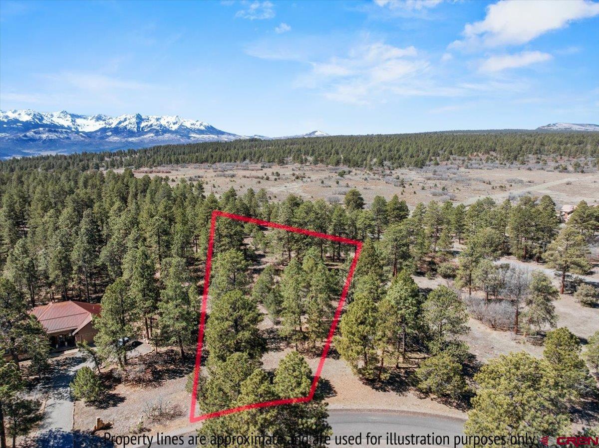 Stunning 1+ Acre Golf Course Lot with Mountain Views located in the prestigious Divide Ranch & Club Golf Course community. Nestled among tall Ponderosa pines, this corner lot has all utilities, including Fiber Optics, available at the lot line. Situated in Southwestern Colorado, this lot is centrally located to a plethora of outdoor activities. Perfect for golf enthusiasts and nature lovers alike, with diverse scenery from every hole. In winter, enjoy snowshoeing, cross-country skiing, and sledding within the community Close proximity to Ouray and Telluride Co