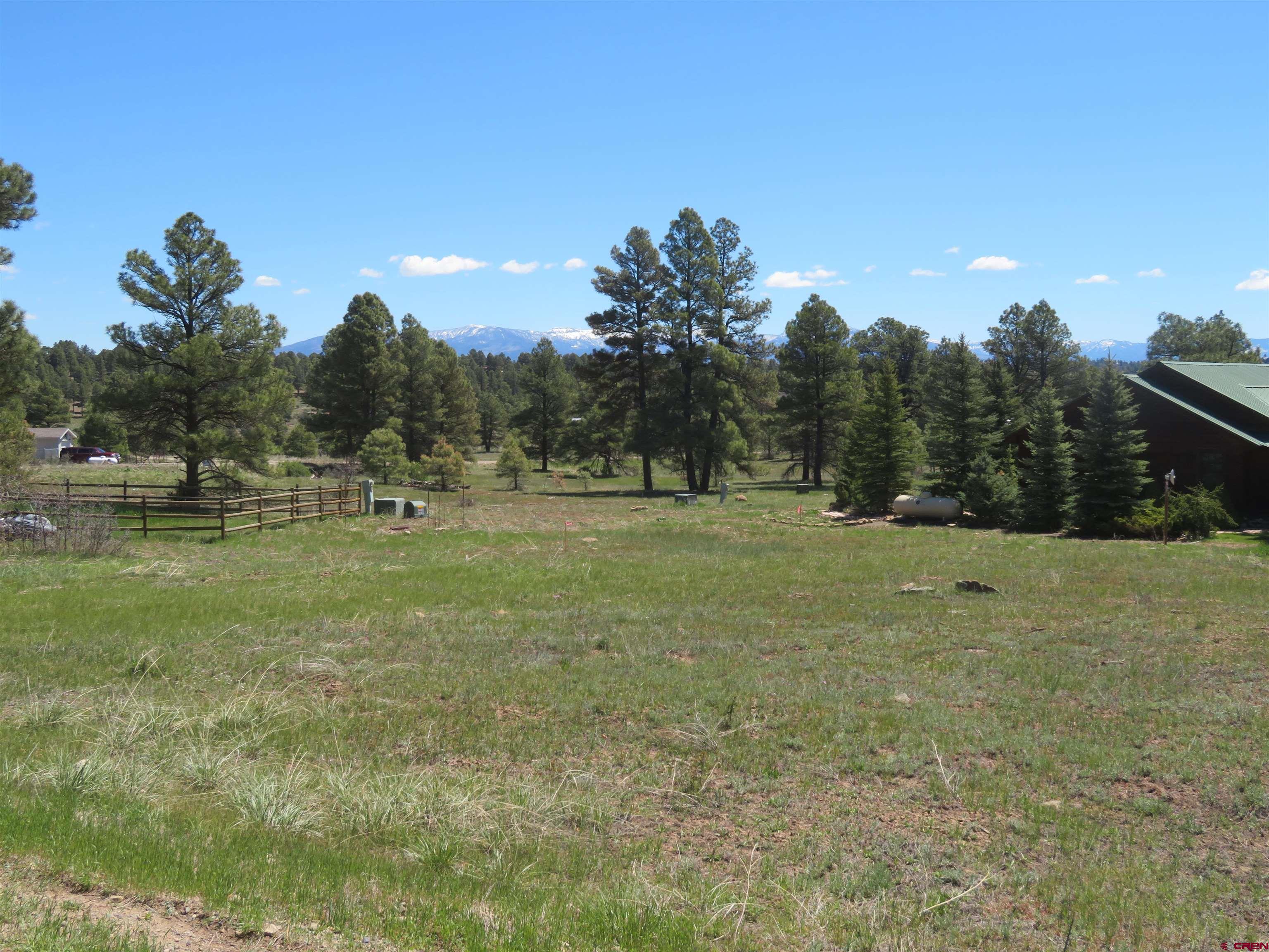 980 Trails Boulevard, Pagosa Springs, CO 81147 Listing Photo  1