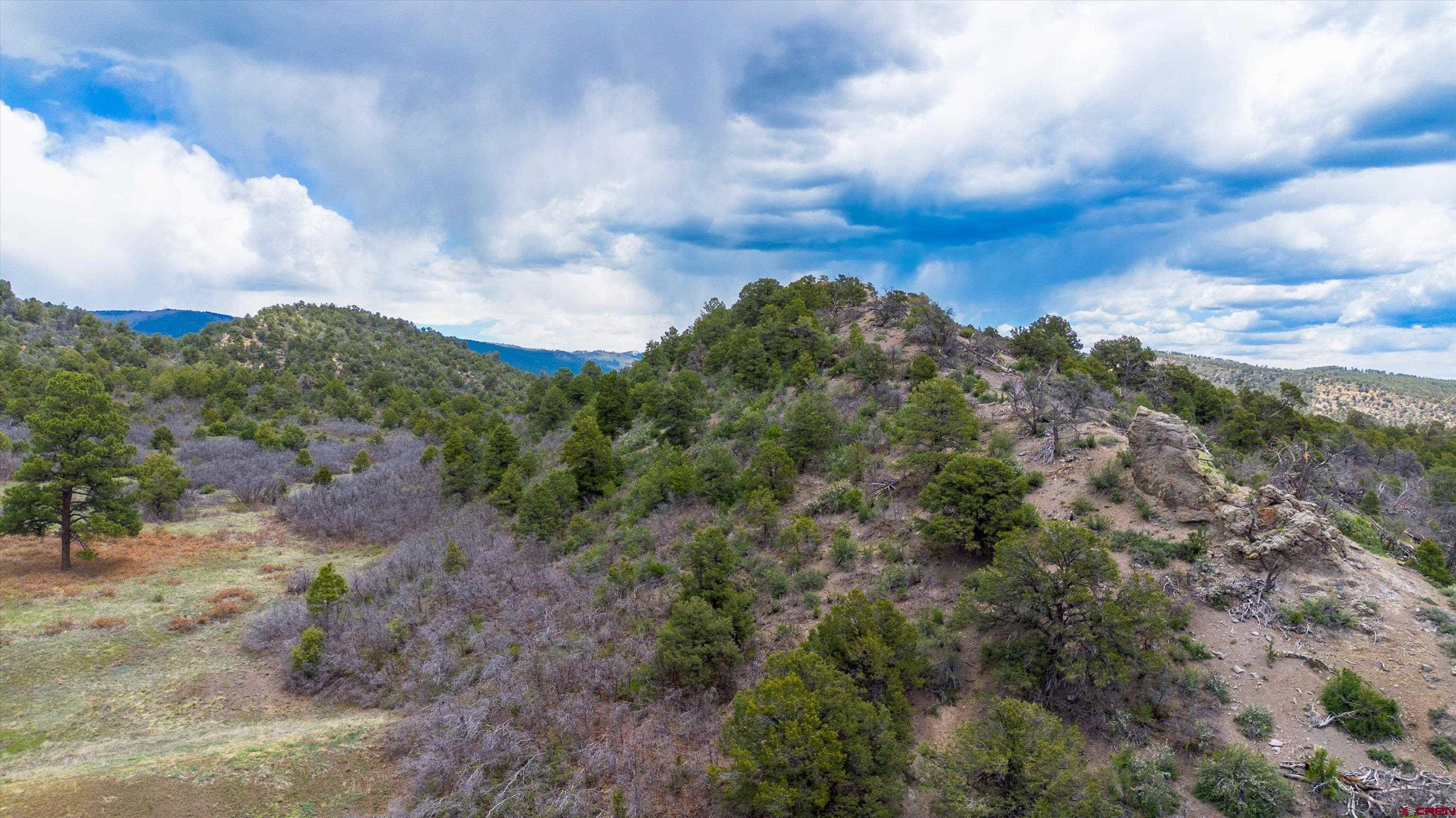 TBD Wild Turkey Canyon