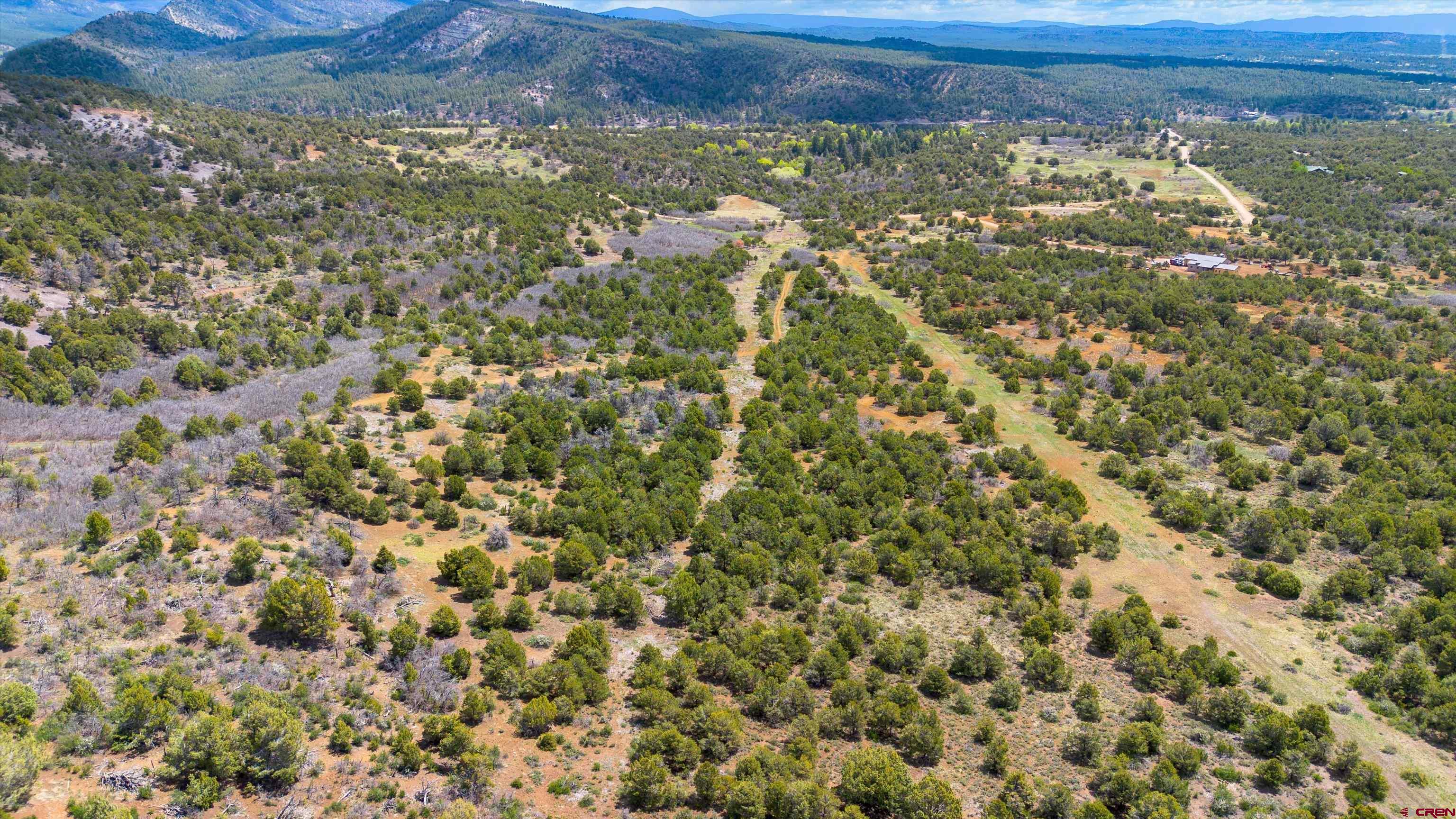 TBD Wild Turkey Canyon
