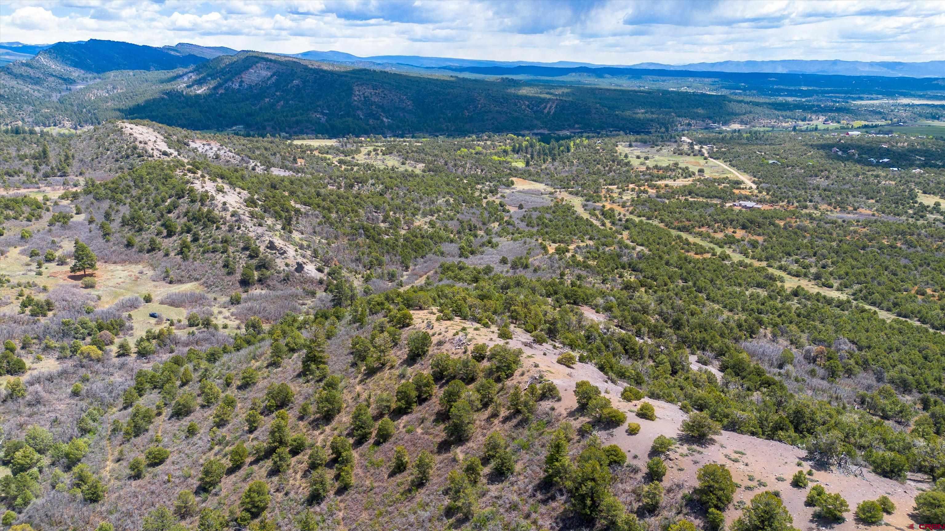 TBD Wild Turkey Canyon