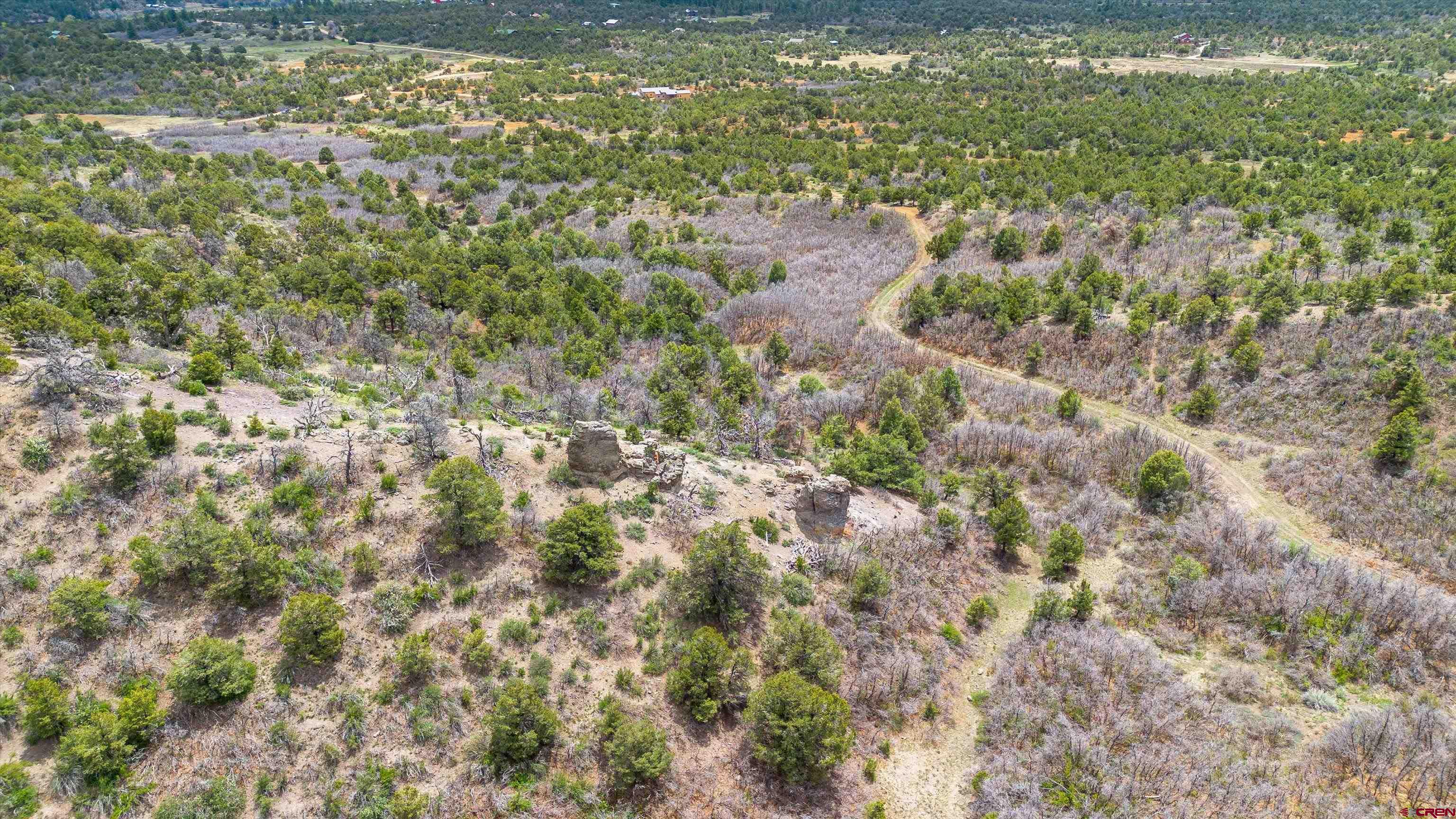 TBD Wild Turkey Canyon