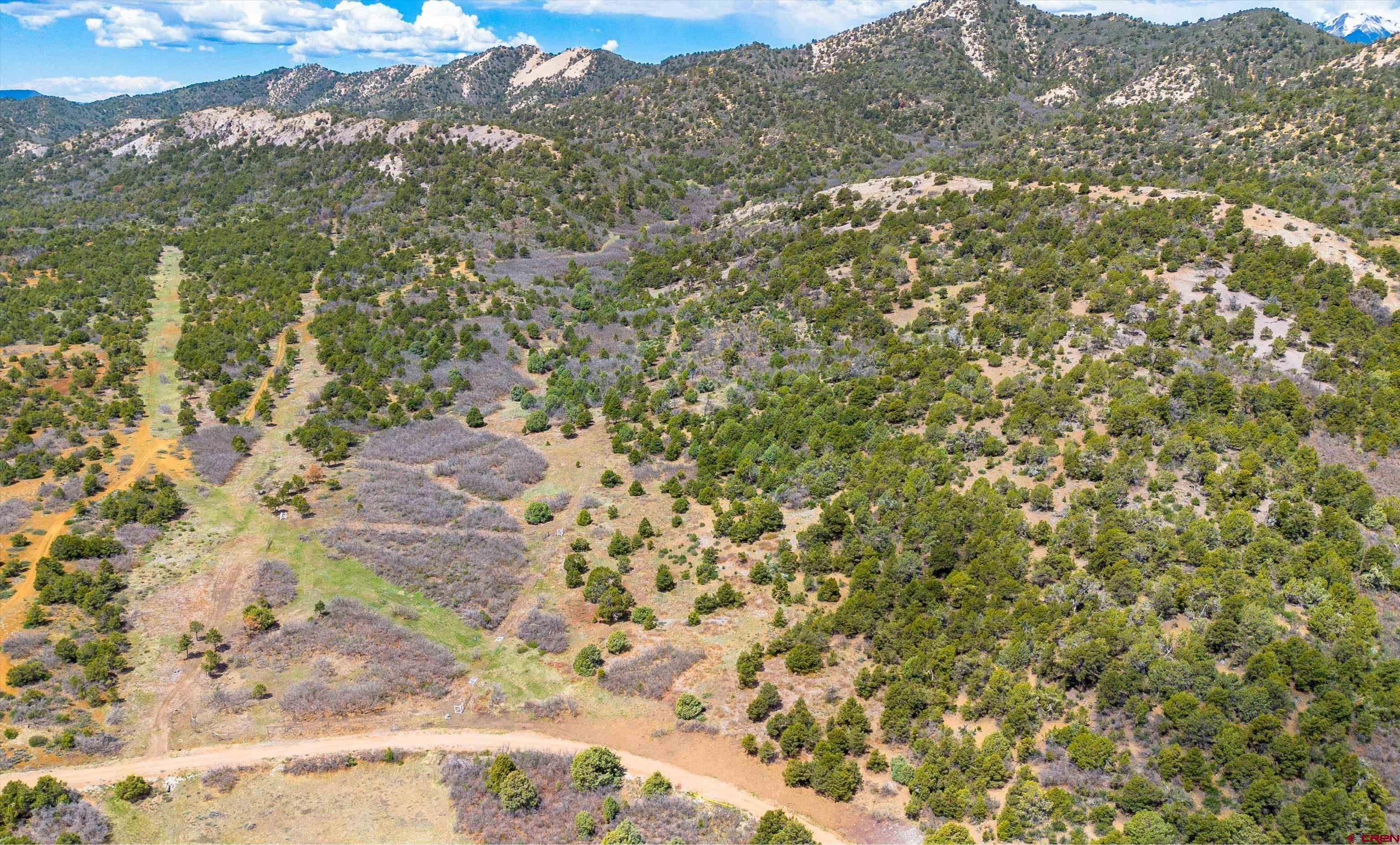 TBD Wild Turkey Canyon