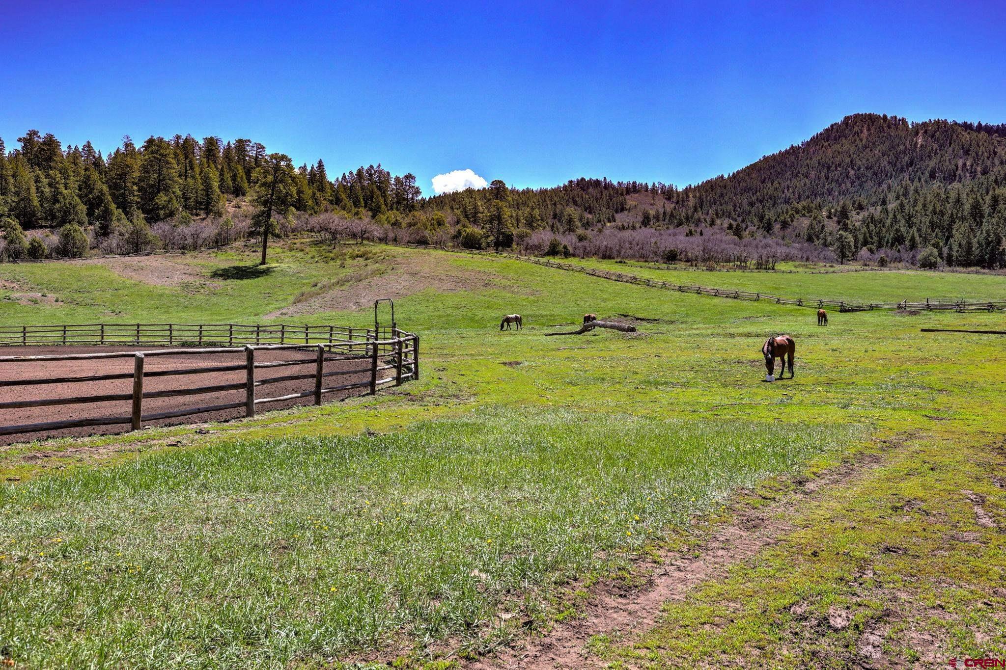 1134 PARELLI INSTITUTE DRIVE, PAGOSA SPRINGS, CO 81147 Pagosa Brokers