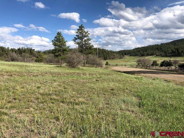 1497 Hersch Avenue, Pagosa Springs, CO 81147 Listing Photo  1