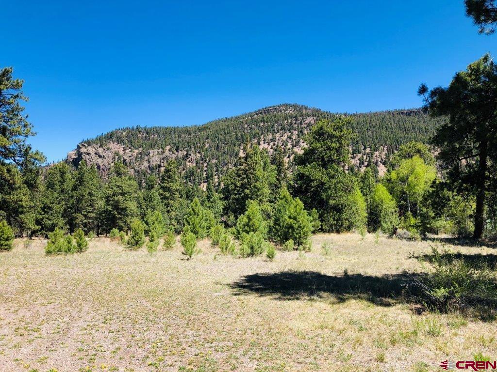 133 Canyon View Antonito CO 81120 Active