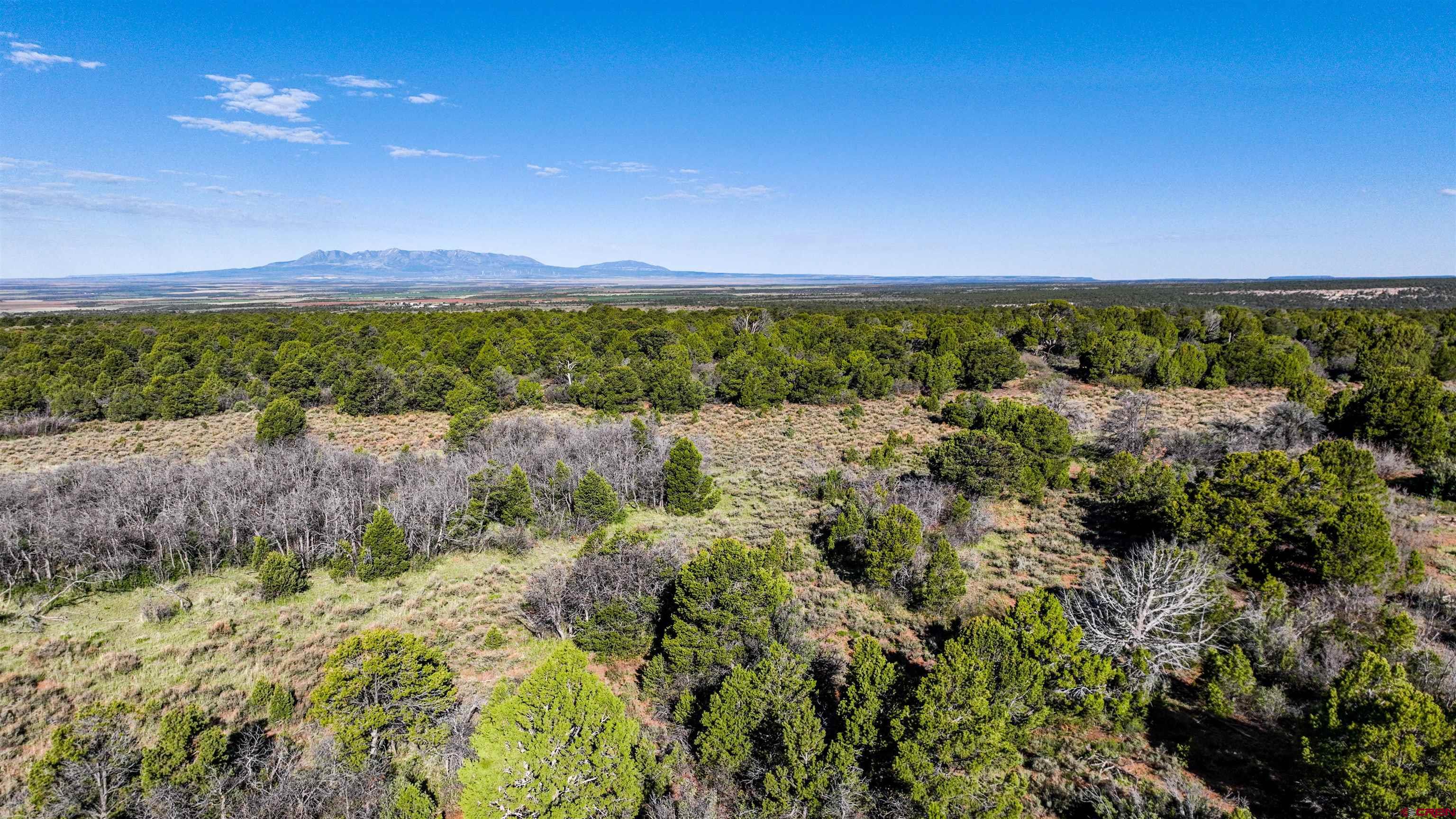 LOT 4 Road J.7, Egnar, CO 81325 MLS 814147