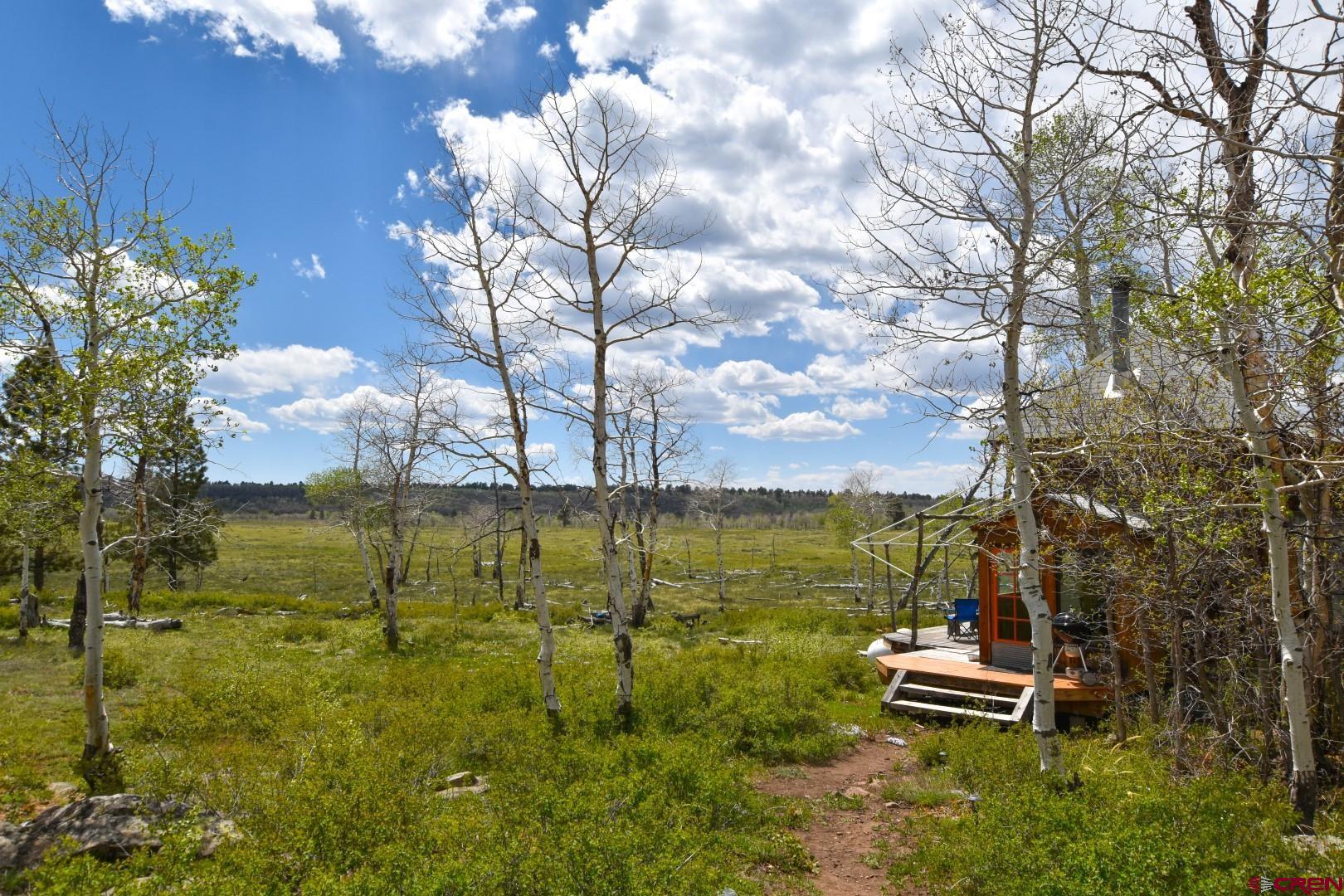 Cabin located in Trophy Unit GMU 61! This is the perfect quiet mountain getaway. With easy access to thousands of acres of national forest and BLM land, this property serves as an excellent retreat. The cabin is equipped with a well, solar power, a spacious bathroom, and a kitchen with a gas range, alongside an open living and dining area. The living room/bedroom is thoughtfully designed to maximize space, and a sleeping loft, in addition to the bedroom, provides ample sleeping quarters. This property exemplifies the best of off-the-grid living and is a must-see for those who wish to enjoy the mountains. Sold furnished turnekey to come up to this retreat.