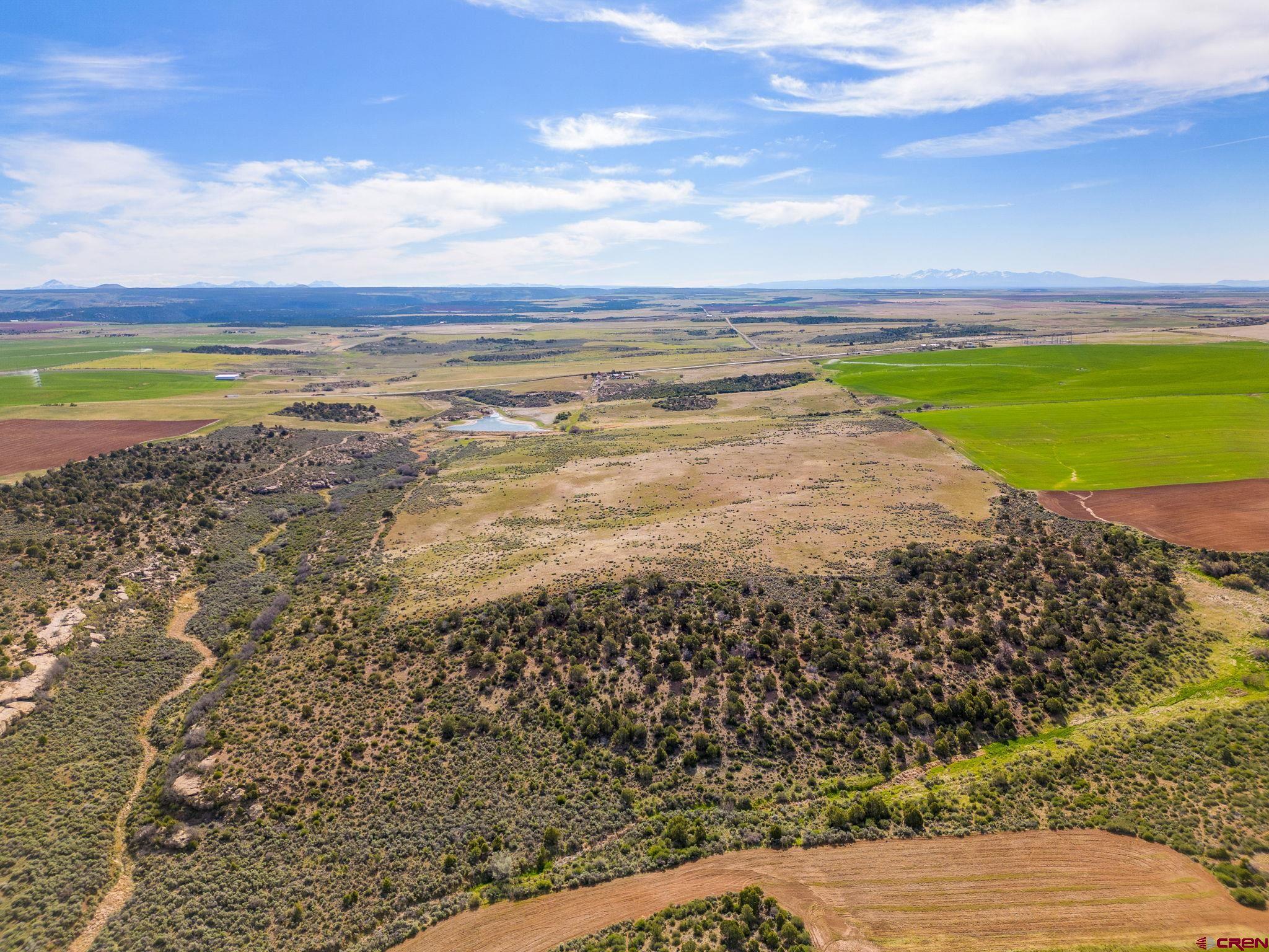 TBD Highway 491