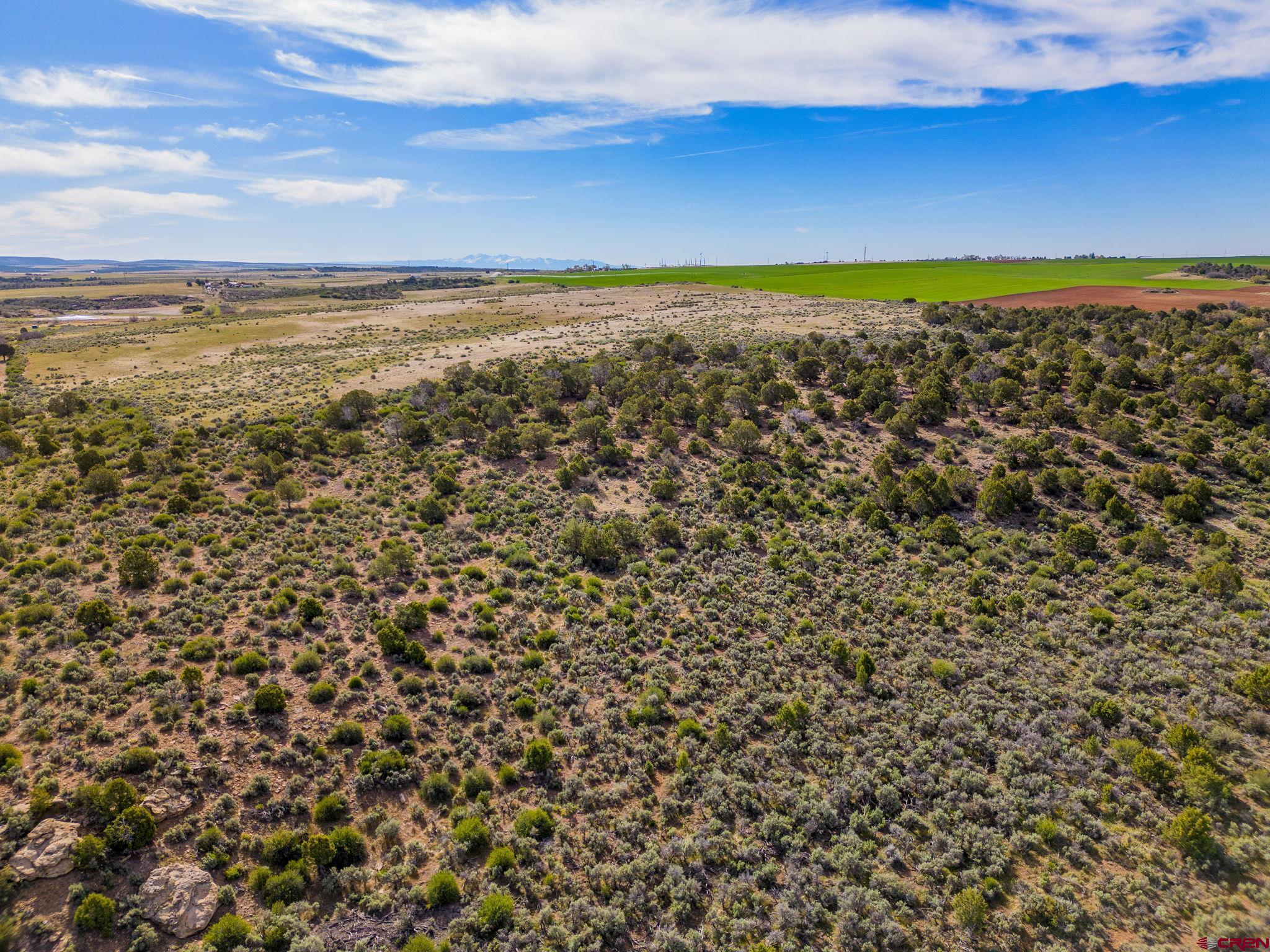 TBD Highway 491