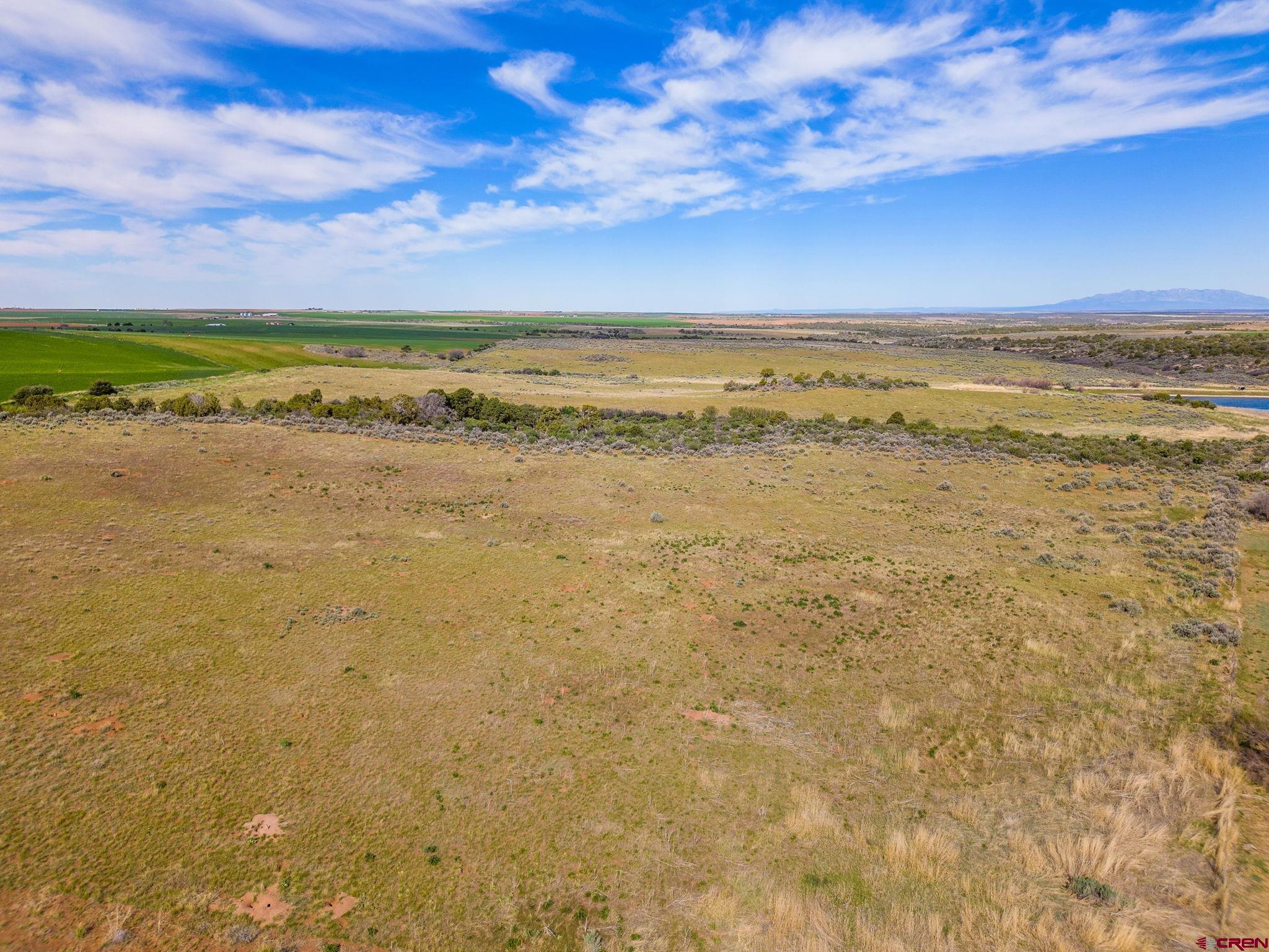 TBD Highway 491