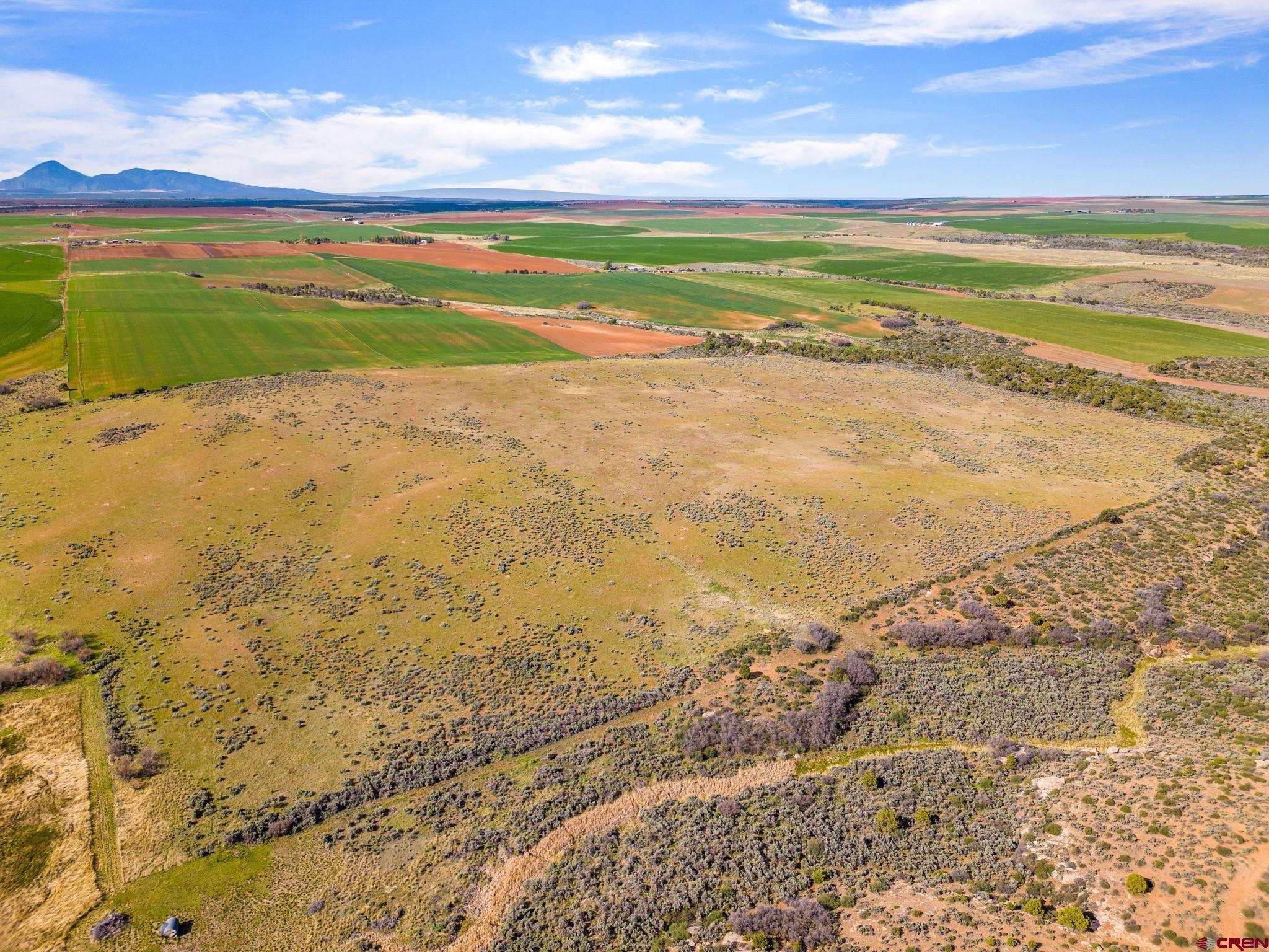 TBD Highway 491