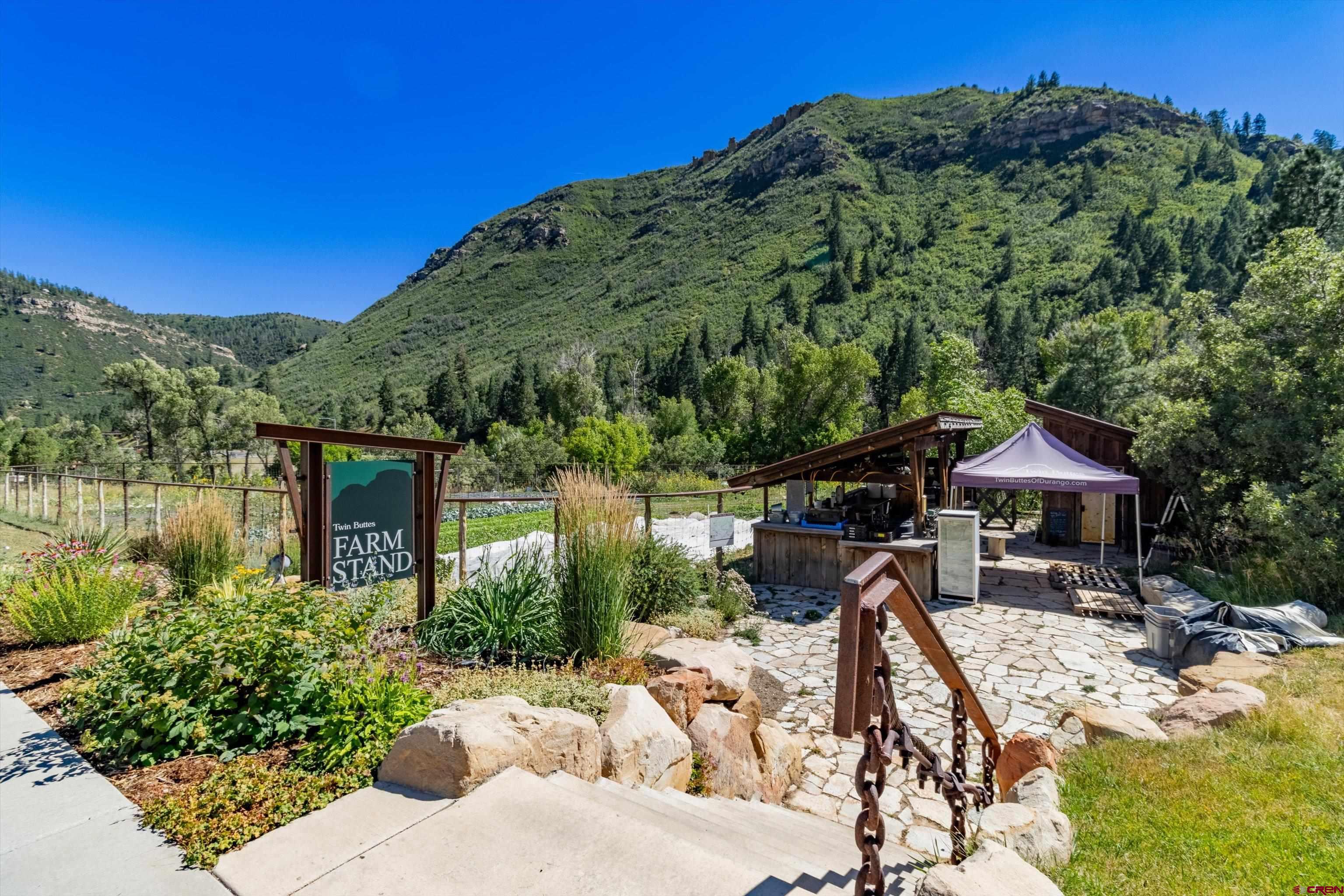 51 Yucca Court
