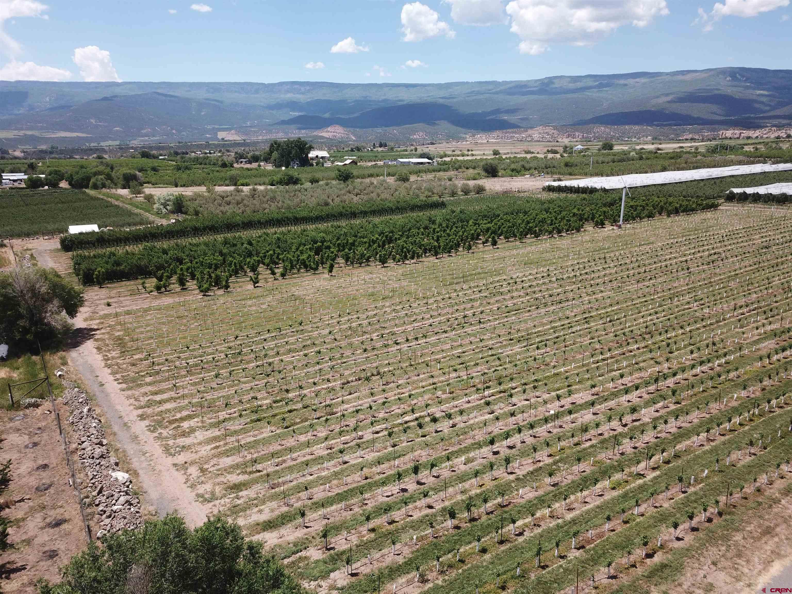 Cedaredge CO Lots & Land