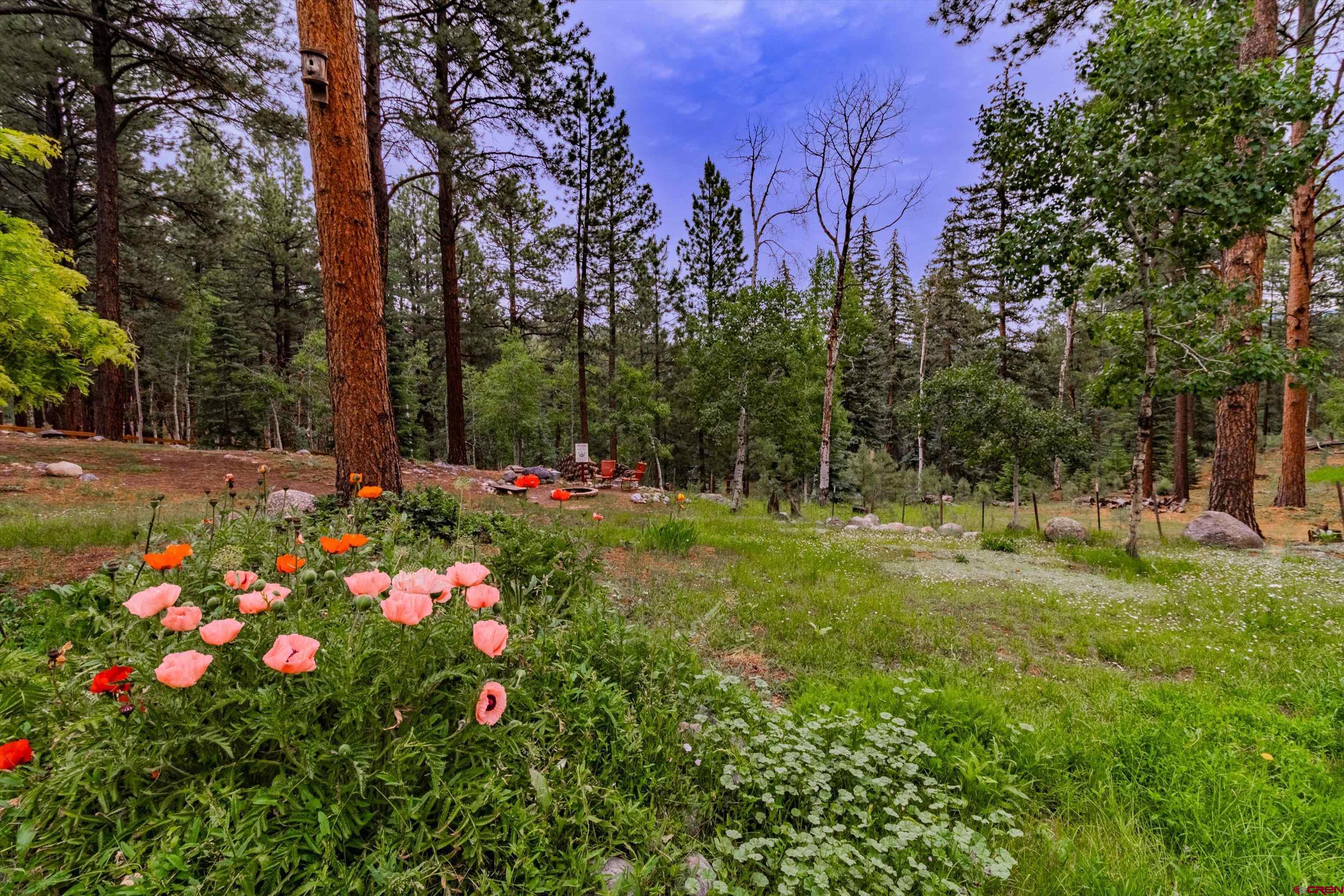 350 Deer Trail Lane