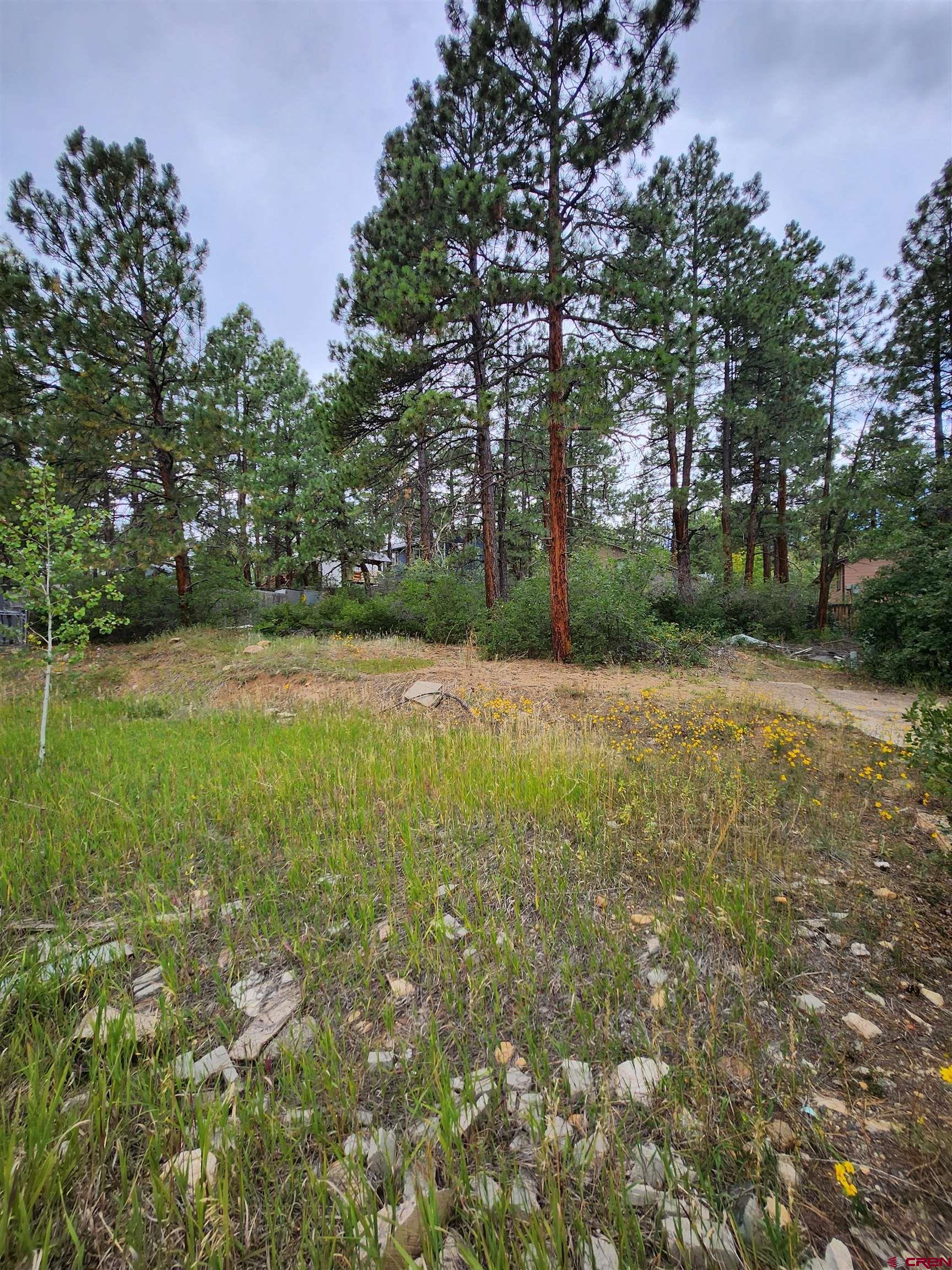 59 Holly Hock Trail