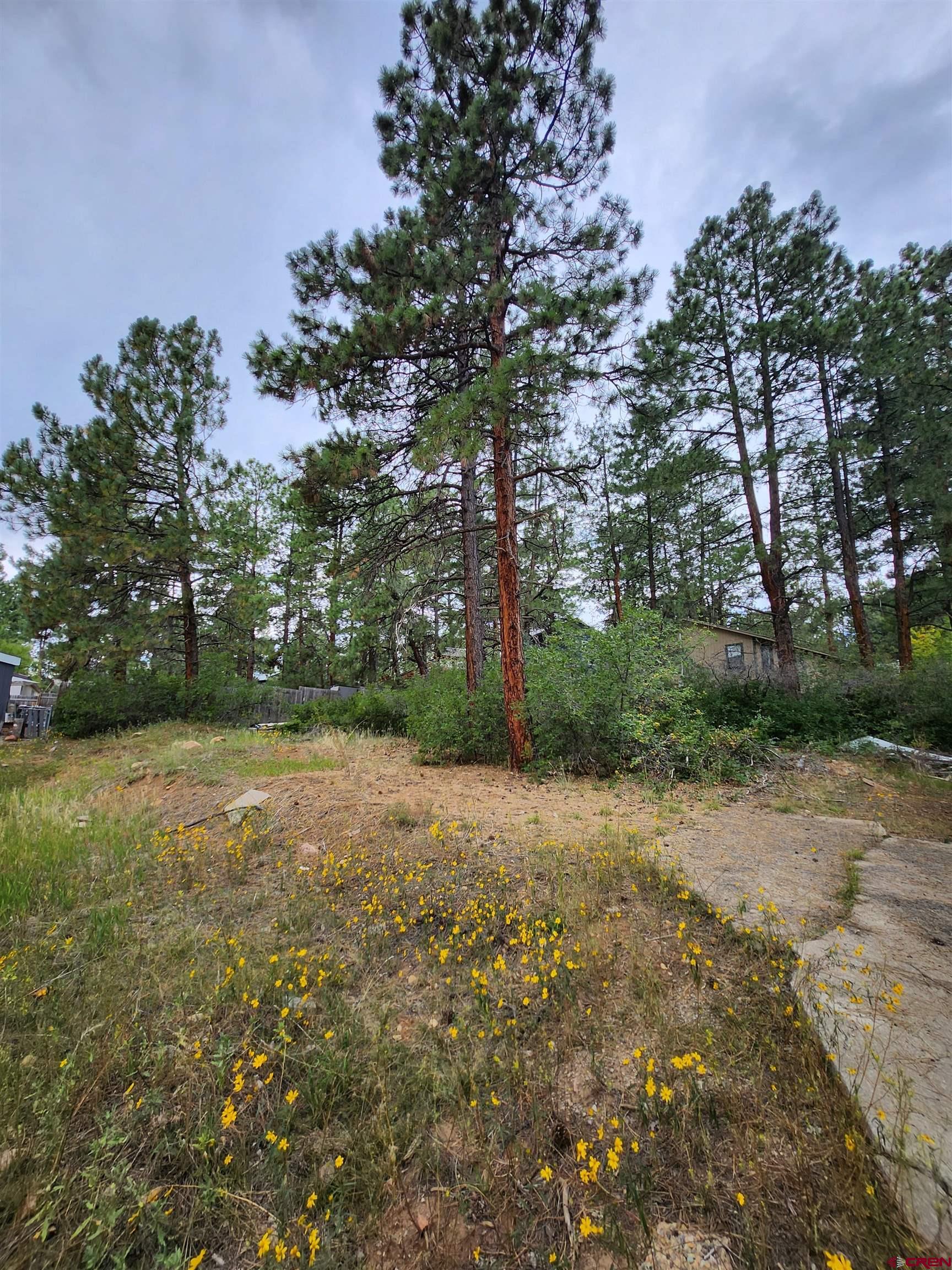 59 Holly Hock Trail