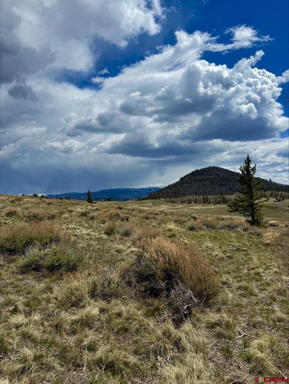 Discover 36 acres of breathtaking potential just 40 minutes south of Gunnison in the Powderhorn area.  This expansive property offers a serene escape, perfect for building your dream home, setting up a vacation retreat, or investing in a slice of Colorado's beauty.  Enjoy the convenience of a shared driveway that ensure easy access while maintaining privacy and a secluded atmosphere.  No covenants or HOA dues, so build and enjoy without the constraints or additional costs of HOA regulations.  This property is a haven for outdoor enthusiasts, offering proximity to hiking, fishing, hunting and more in the stunning Gunnison Valley.
